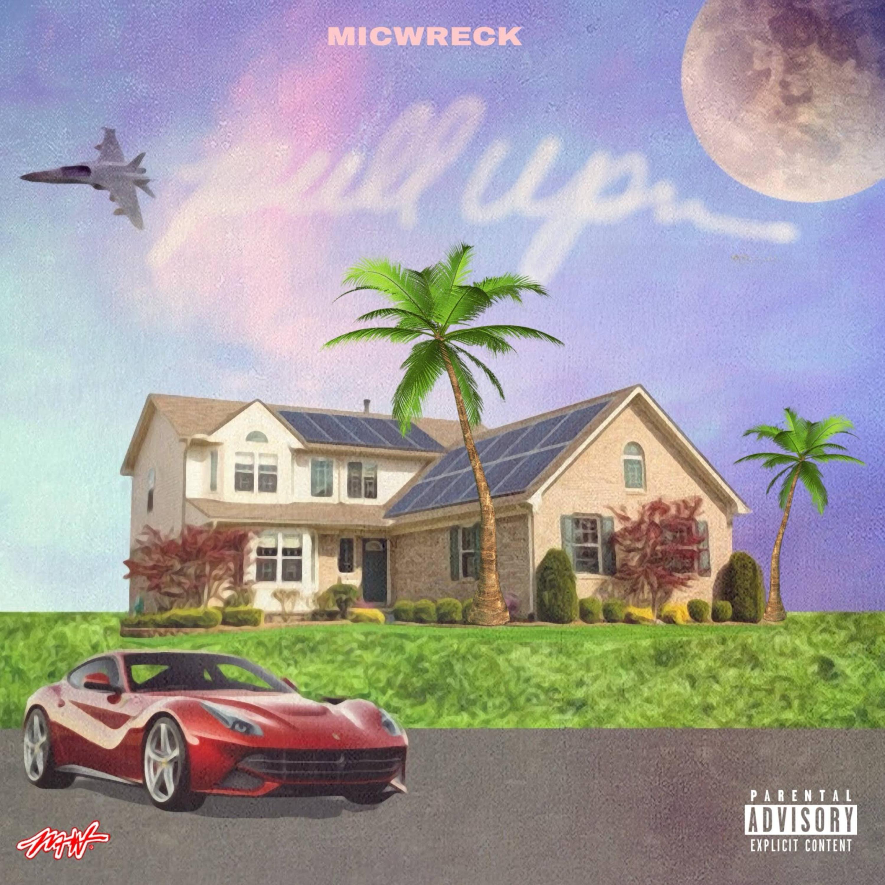 Pull Up by MicWreck cover art