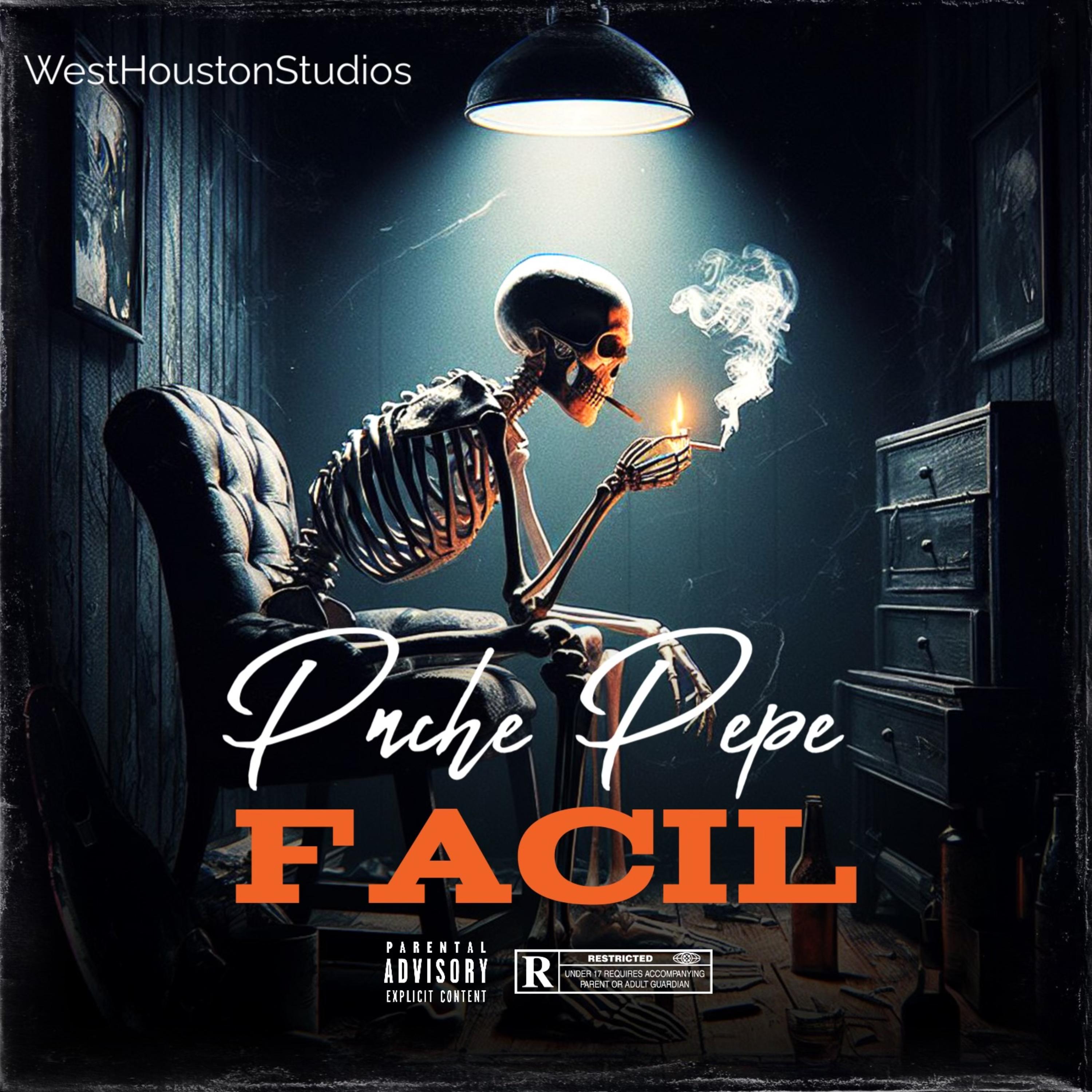 FÁCIL by Pinche Pepe cover art