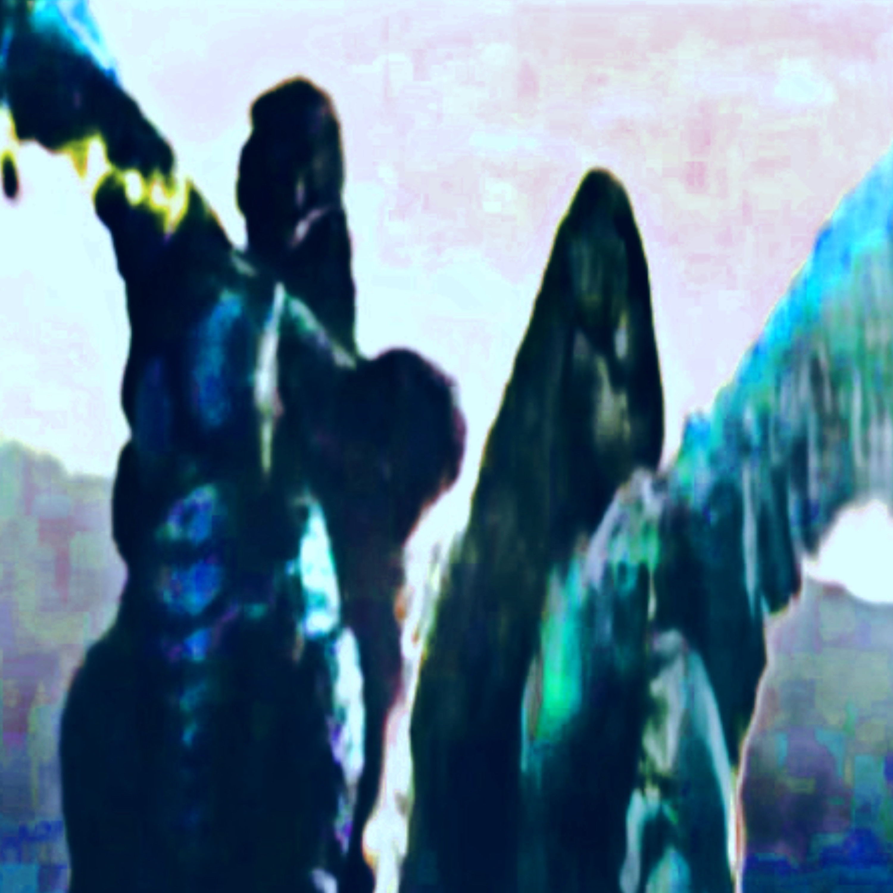 TITANOZAURUZ artwork