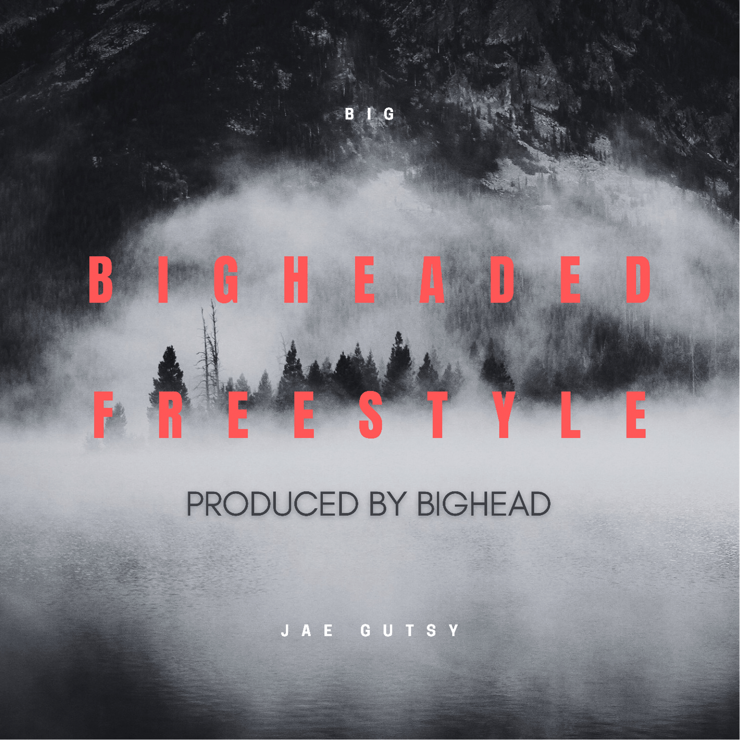 BIGHEADED FREESTYLE artwork