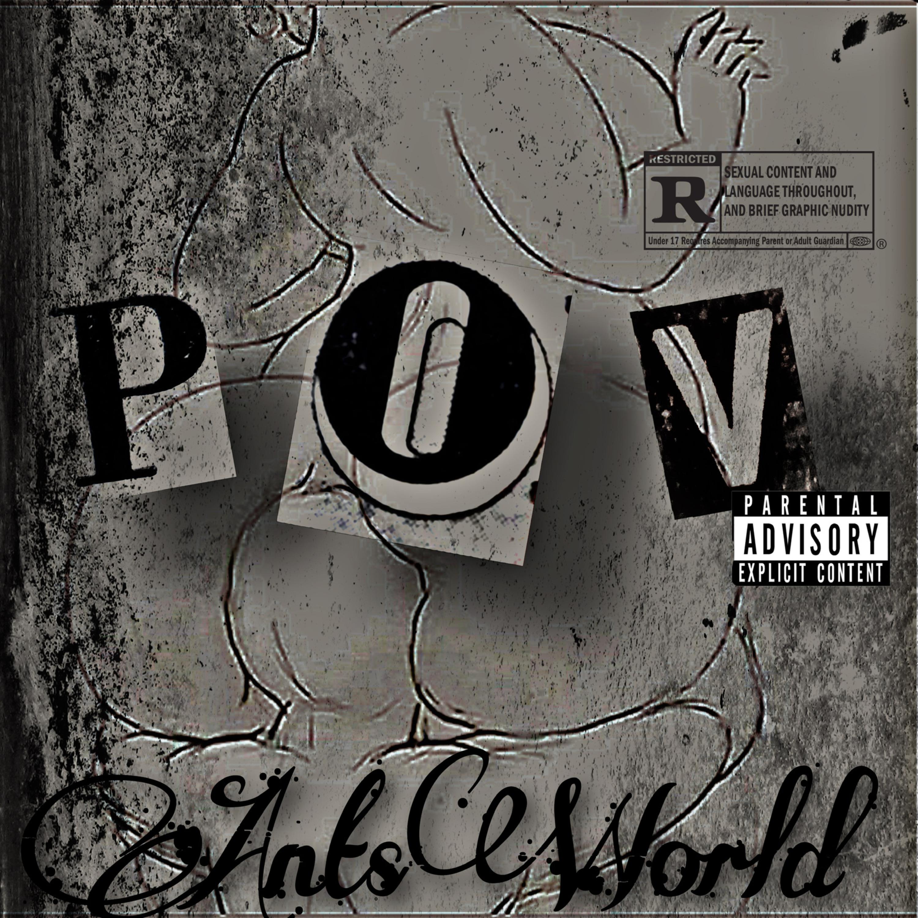 POV artwork