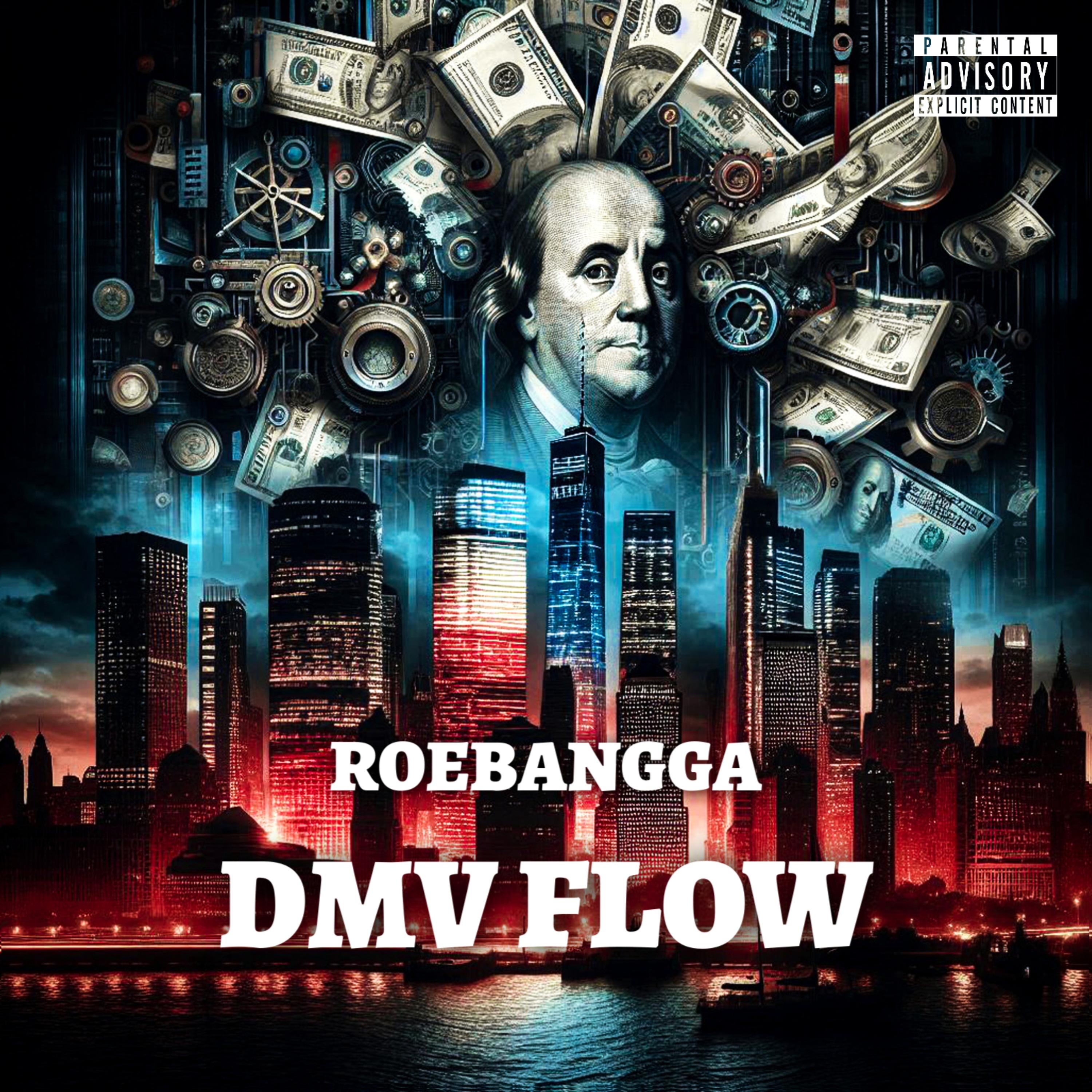 DMV FLOW artwork