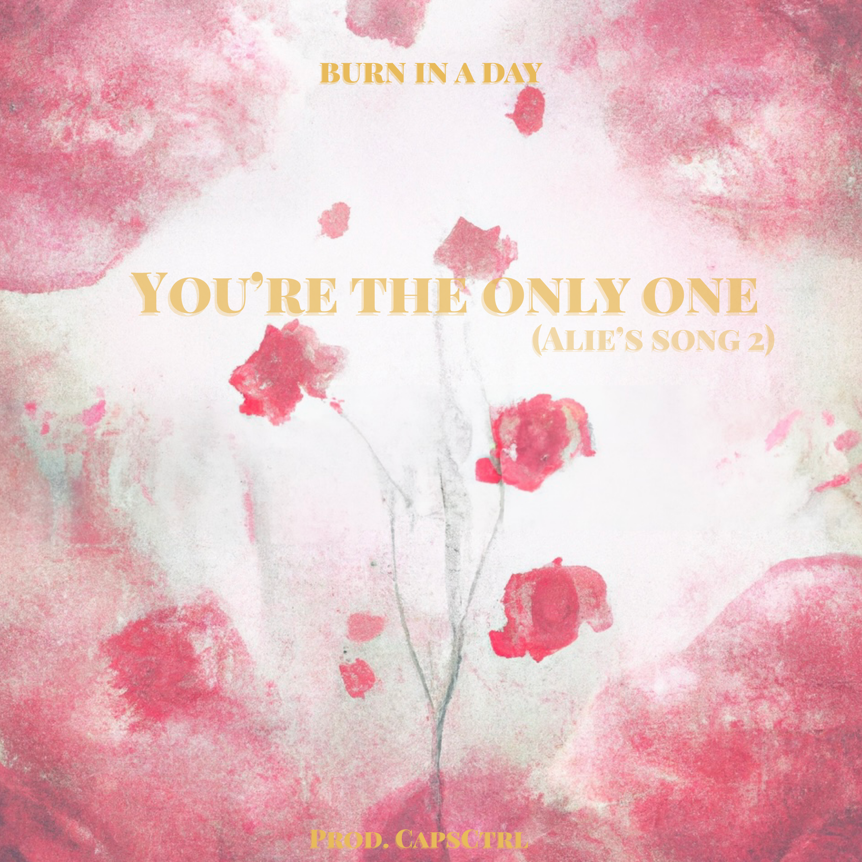 Your The Only One (Alie’s Song 2) artwork