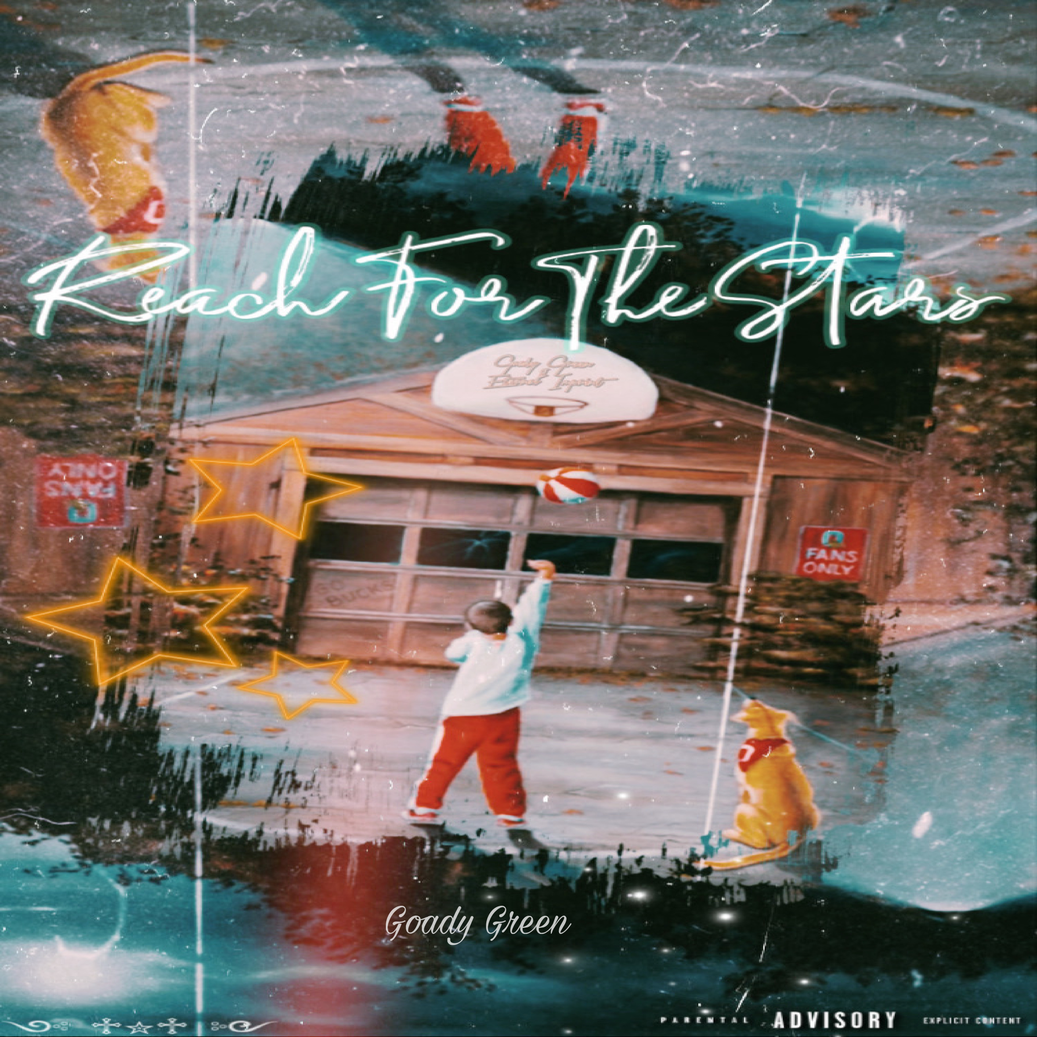 Reach For The Stars by Goady Green cover art