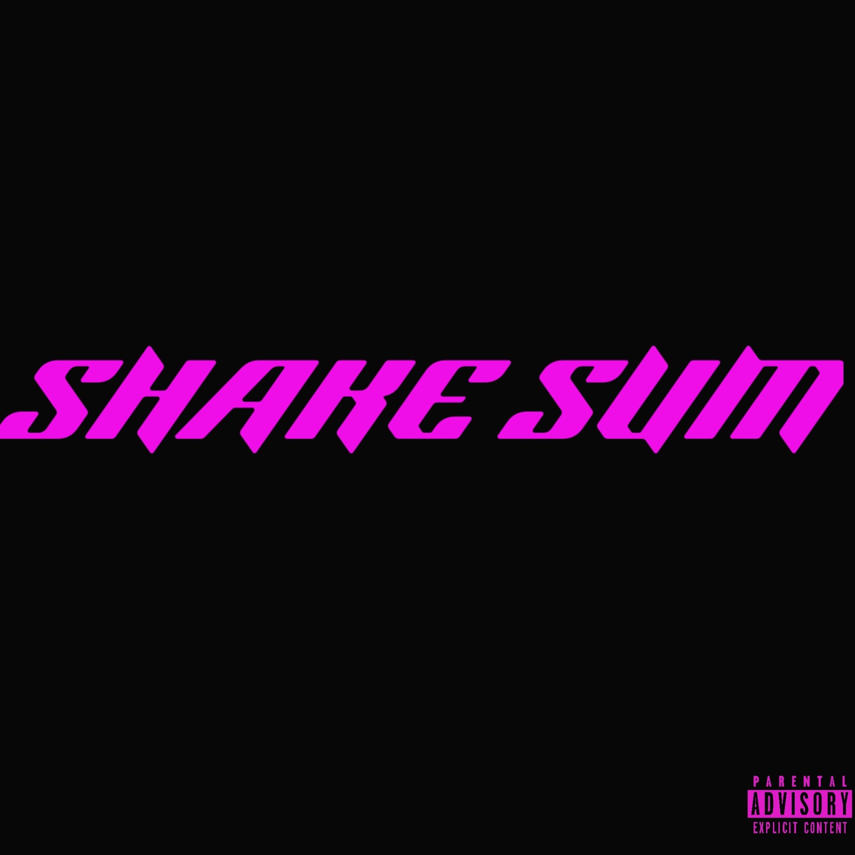 SHAKE SUM artwork