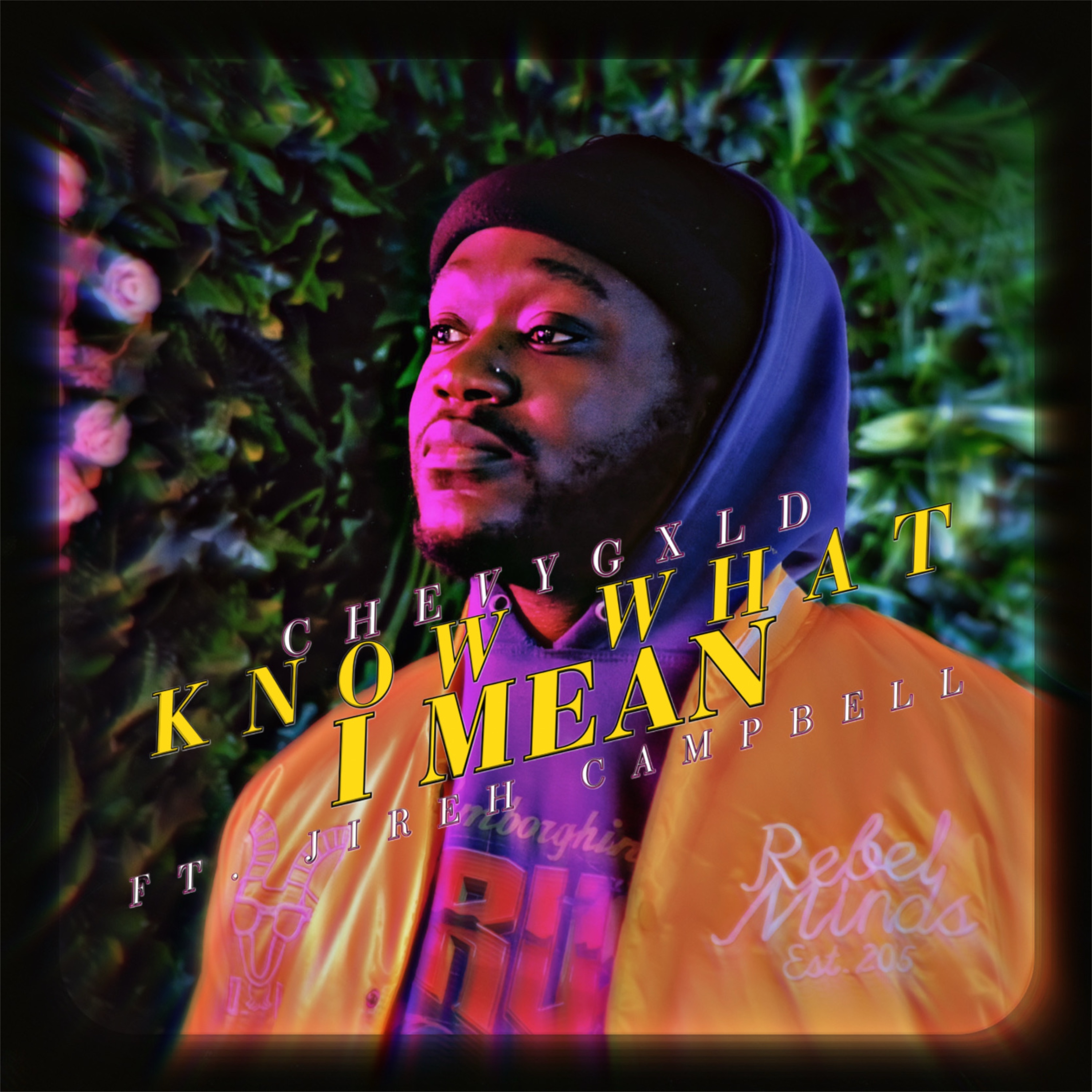 Know What I Mean artwork