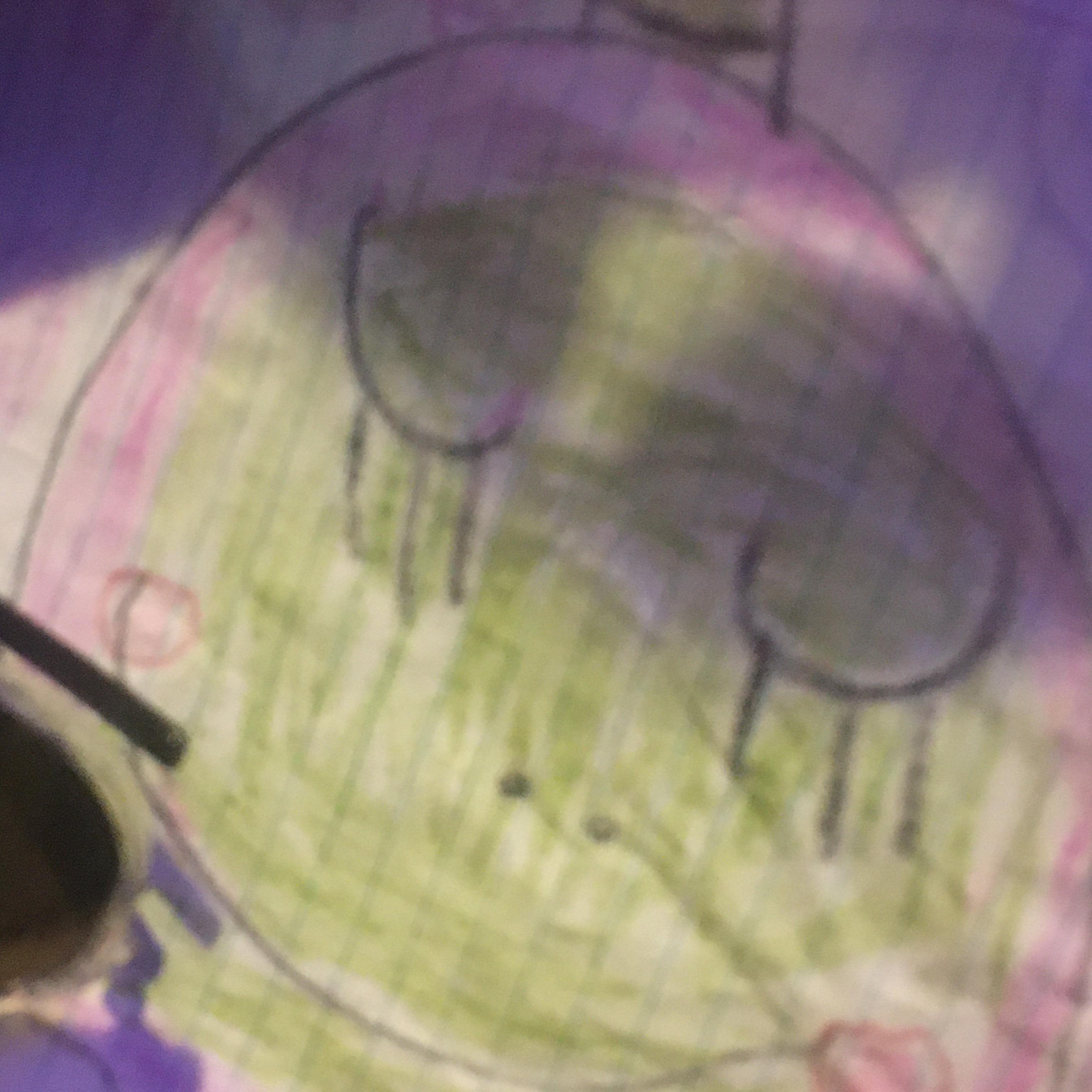 MYMOONLIGHT artwork