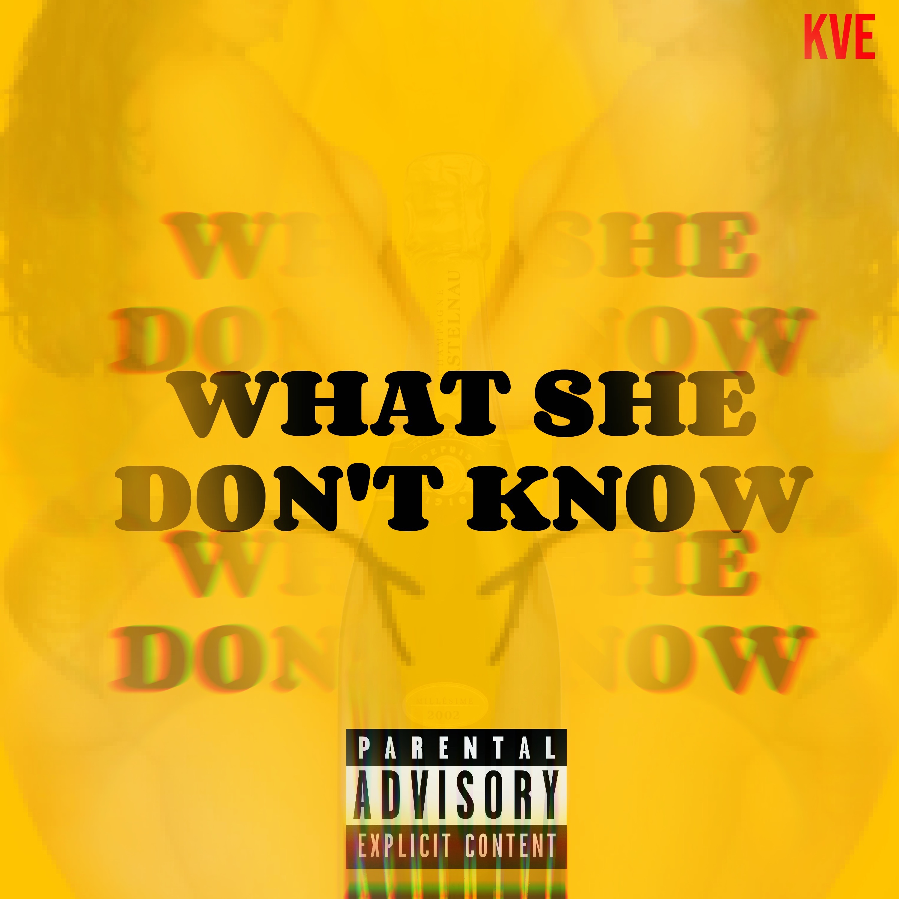 What She Don't Know artwork