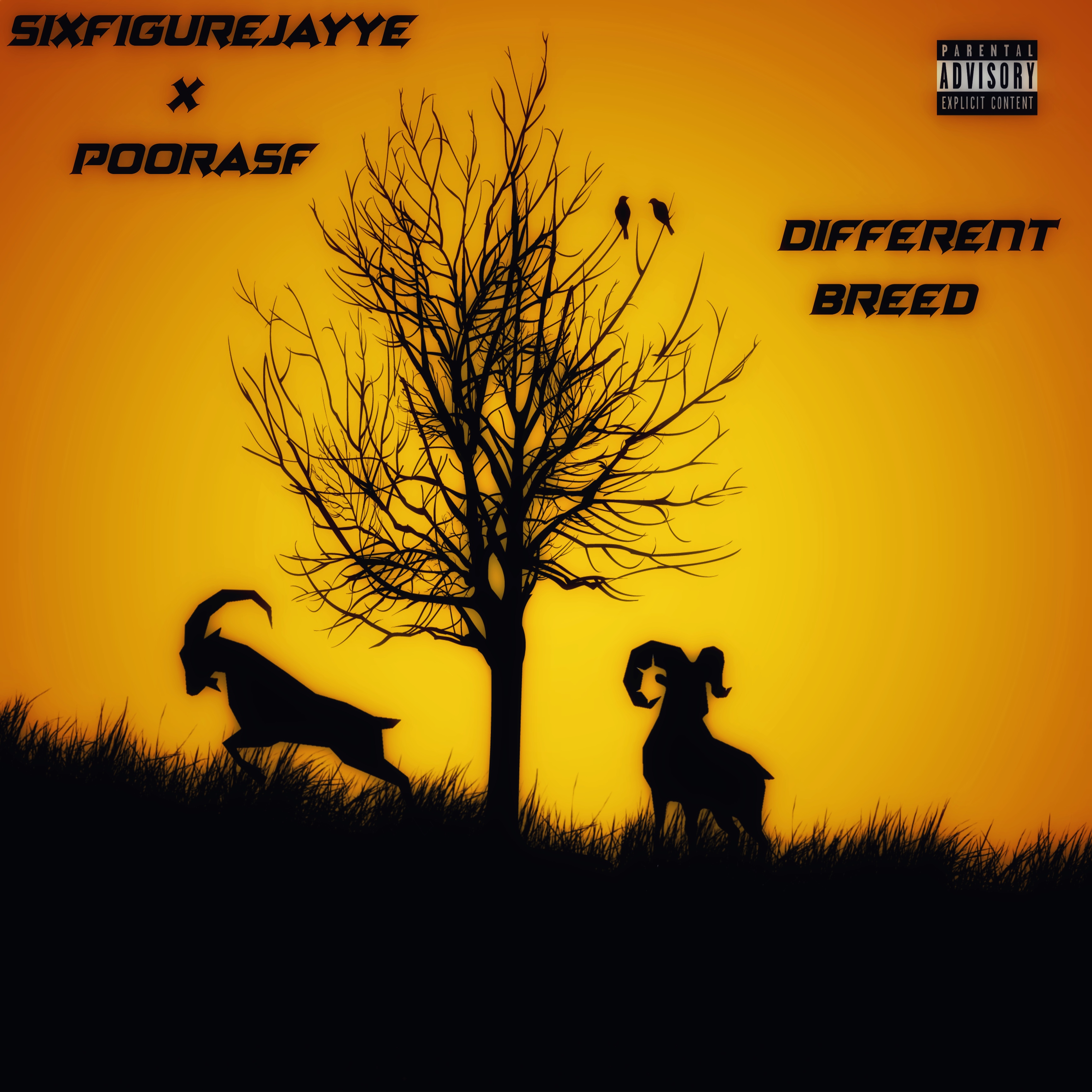 Different Breed artwork