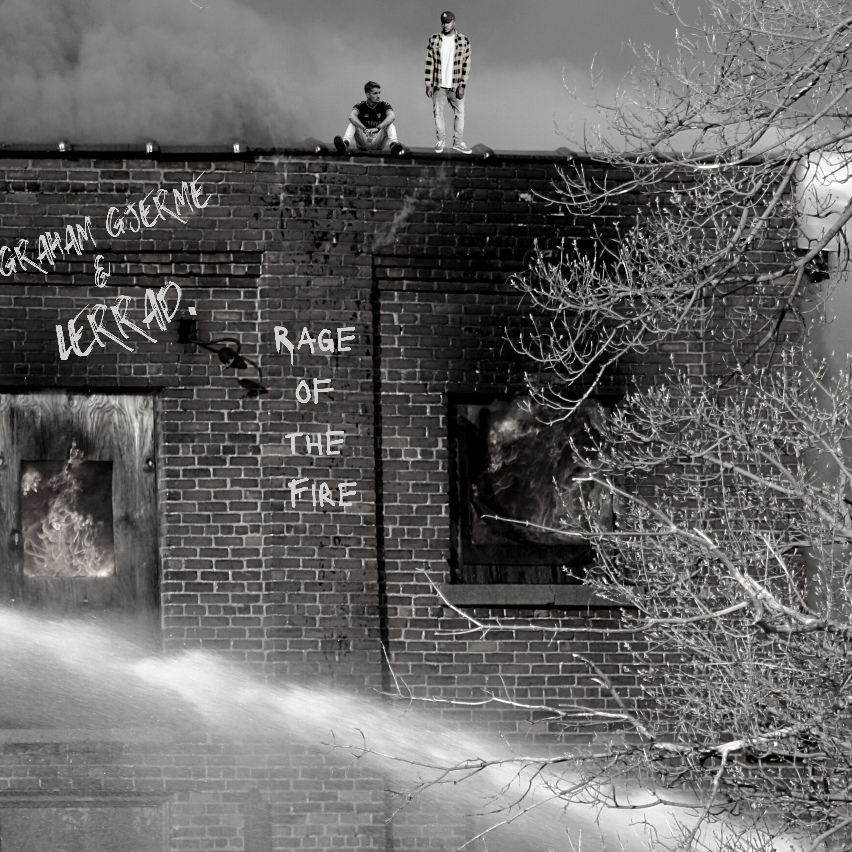 Rage Of The Fire artwork