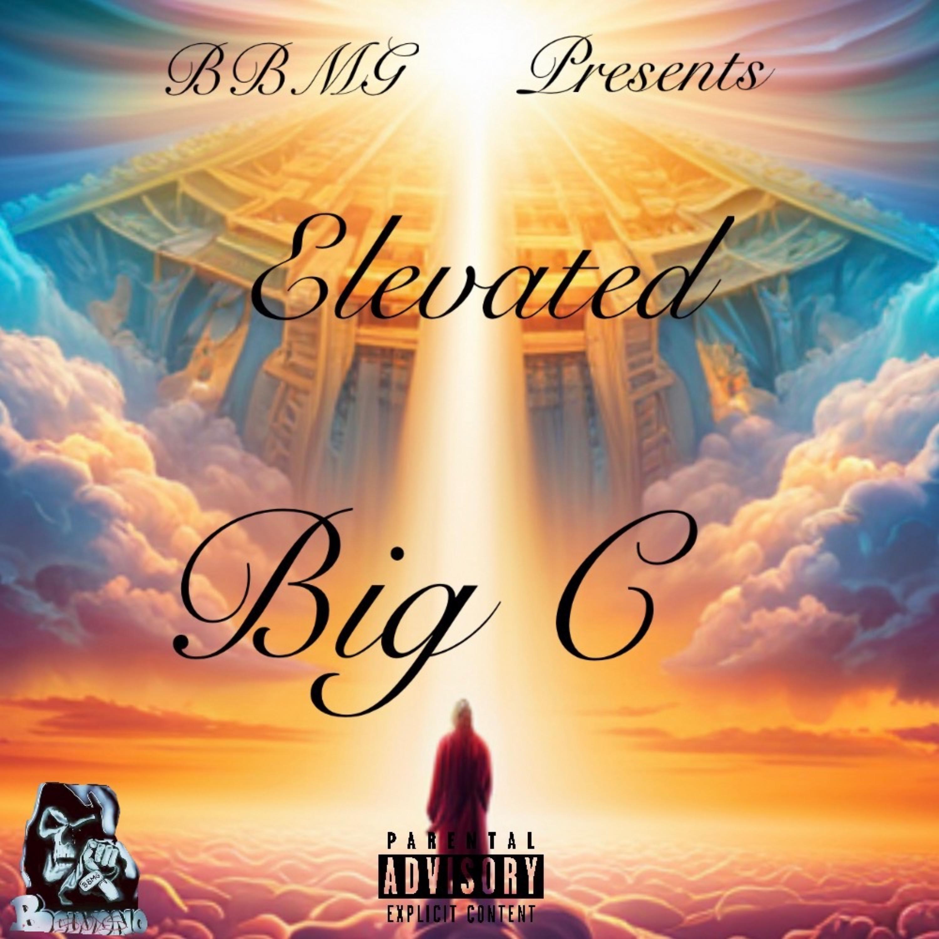 Elevated artwork
