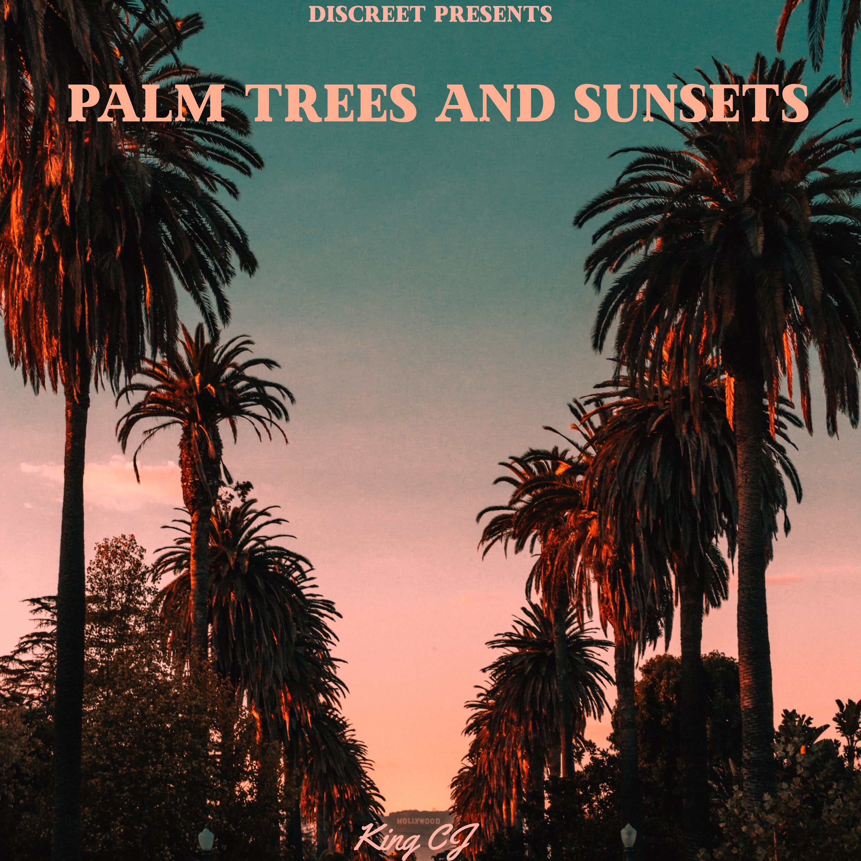 Palm Trees and Sunsets artwork