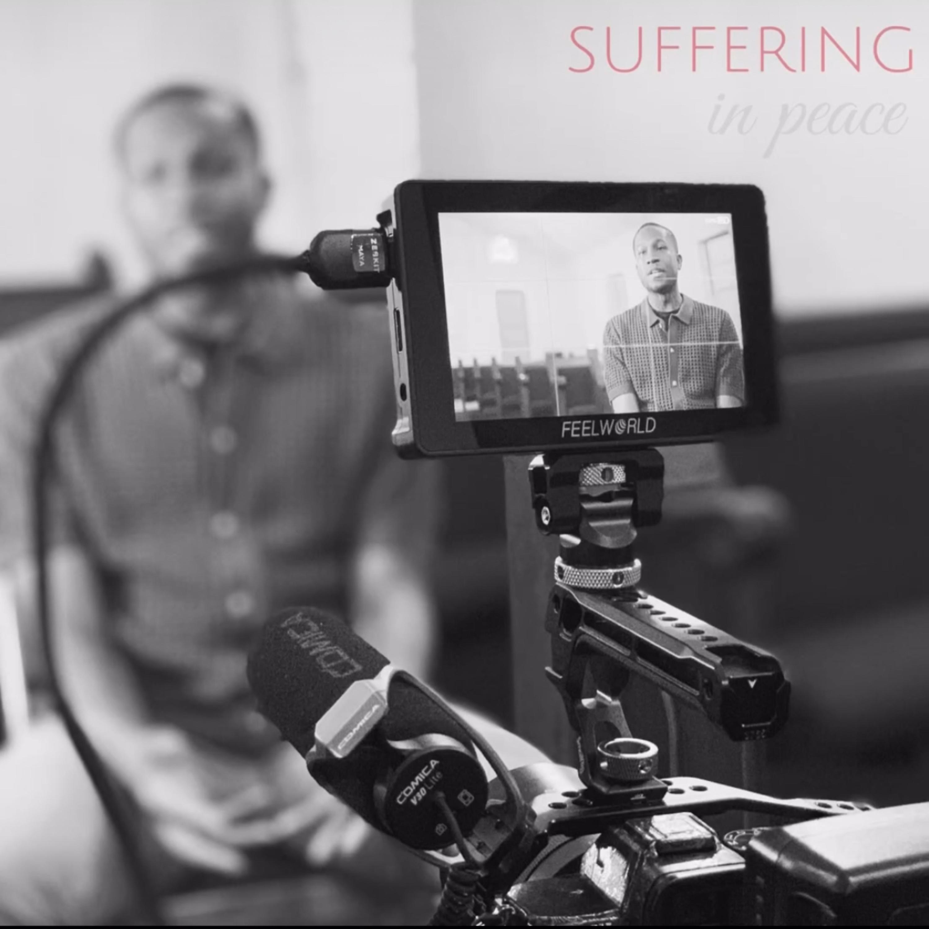 Suffering in Peace by ZVN cover art