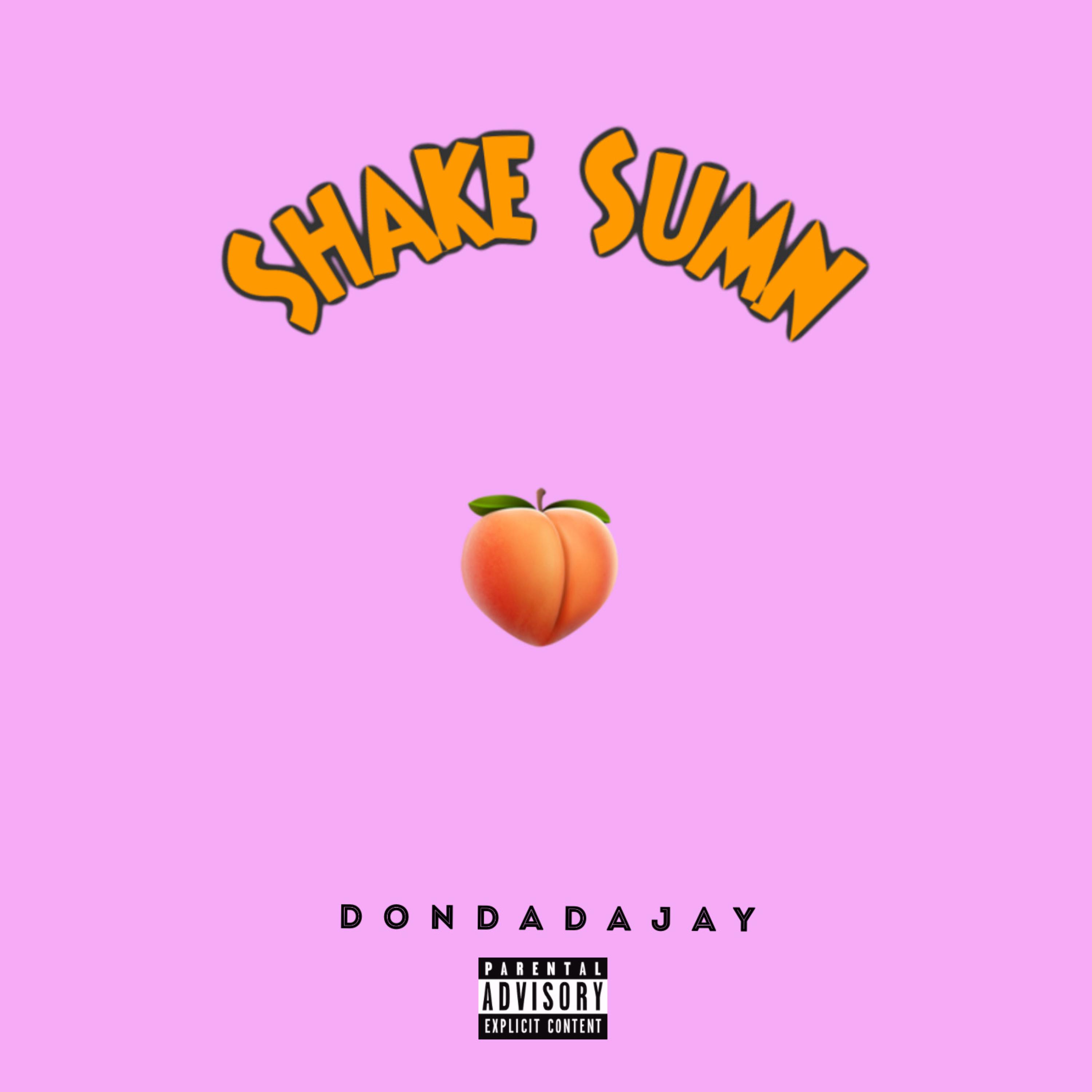 Shake Sumn artwork