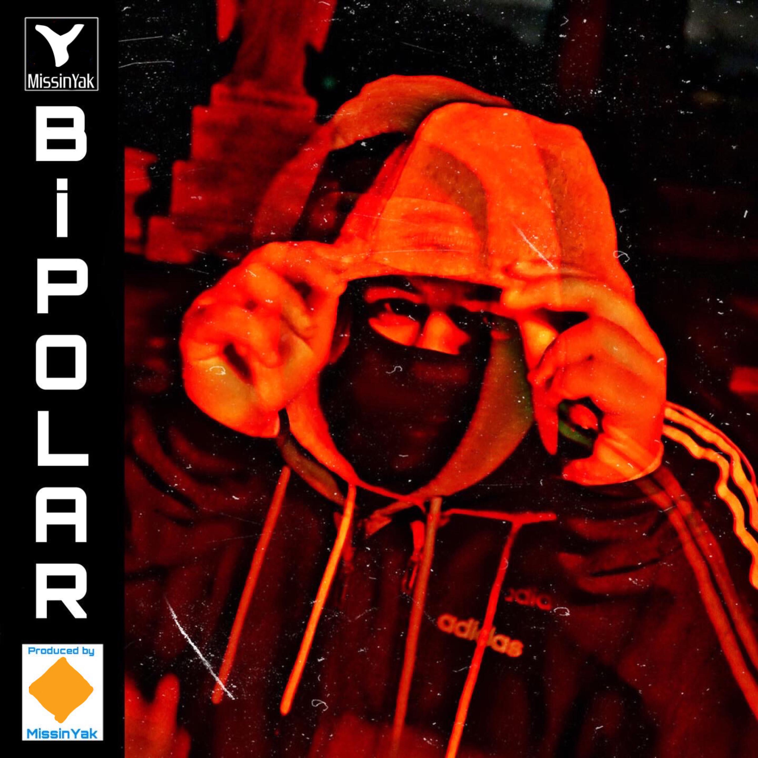 BI POLAR artwork