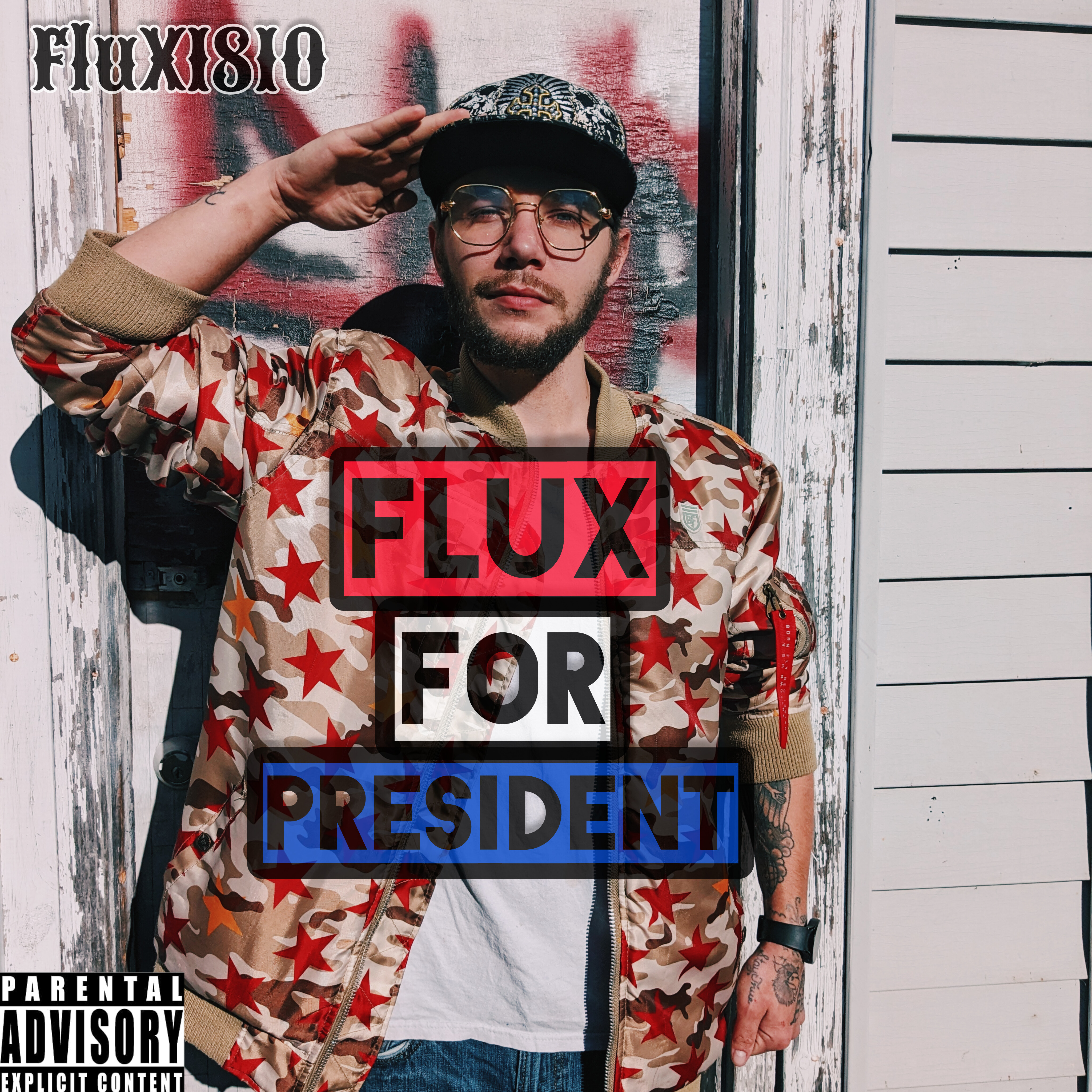 FluX For President artwork