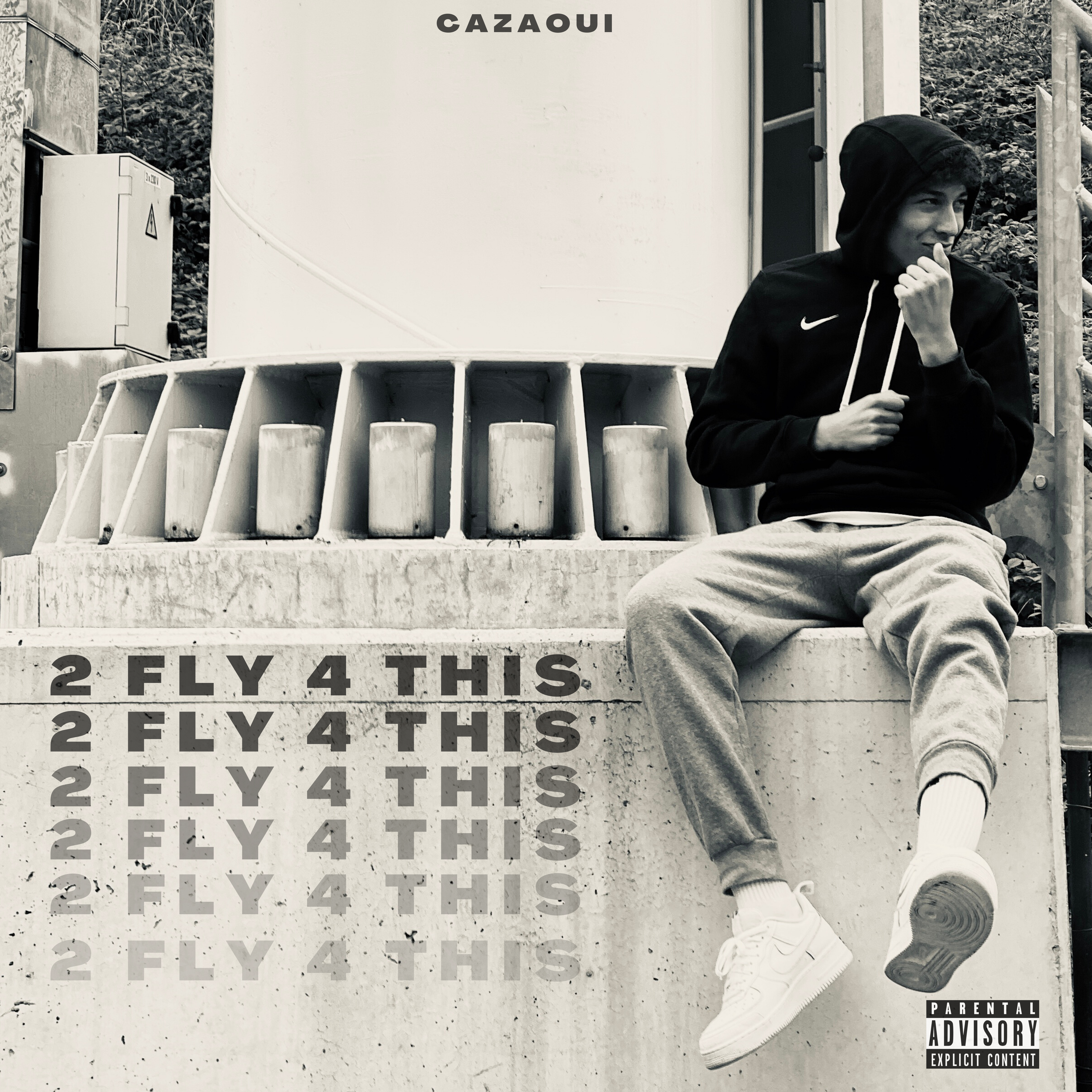 2 FLY 4 THIS by Cazaoui cover art
