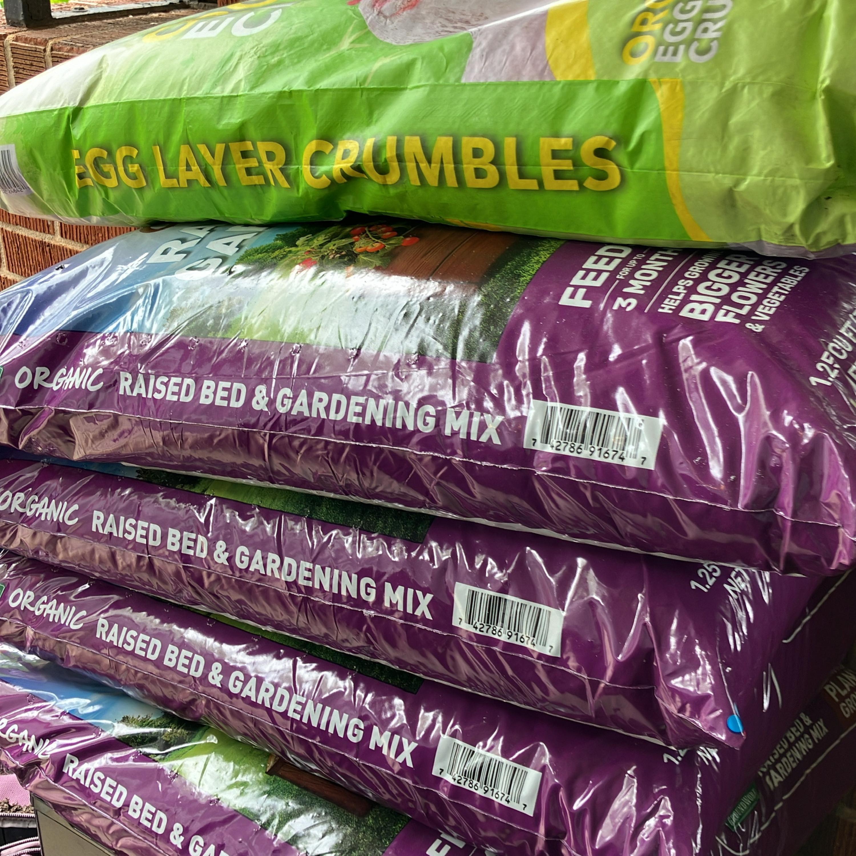 SUNNY DAY IM ON THE CANNIBUS artwork