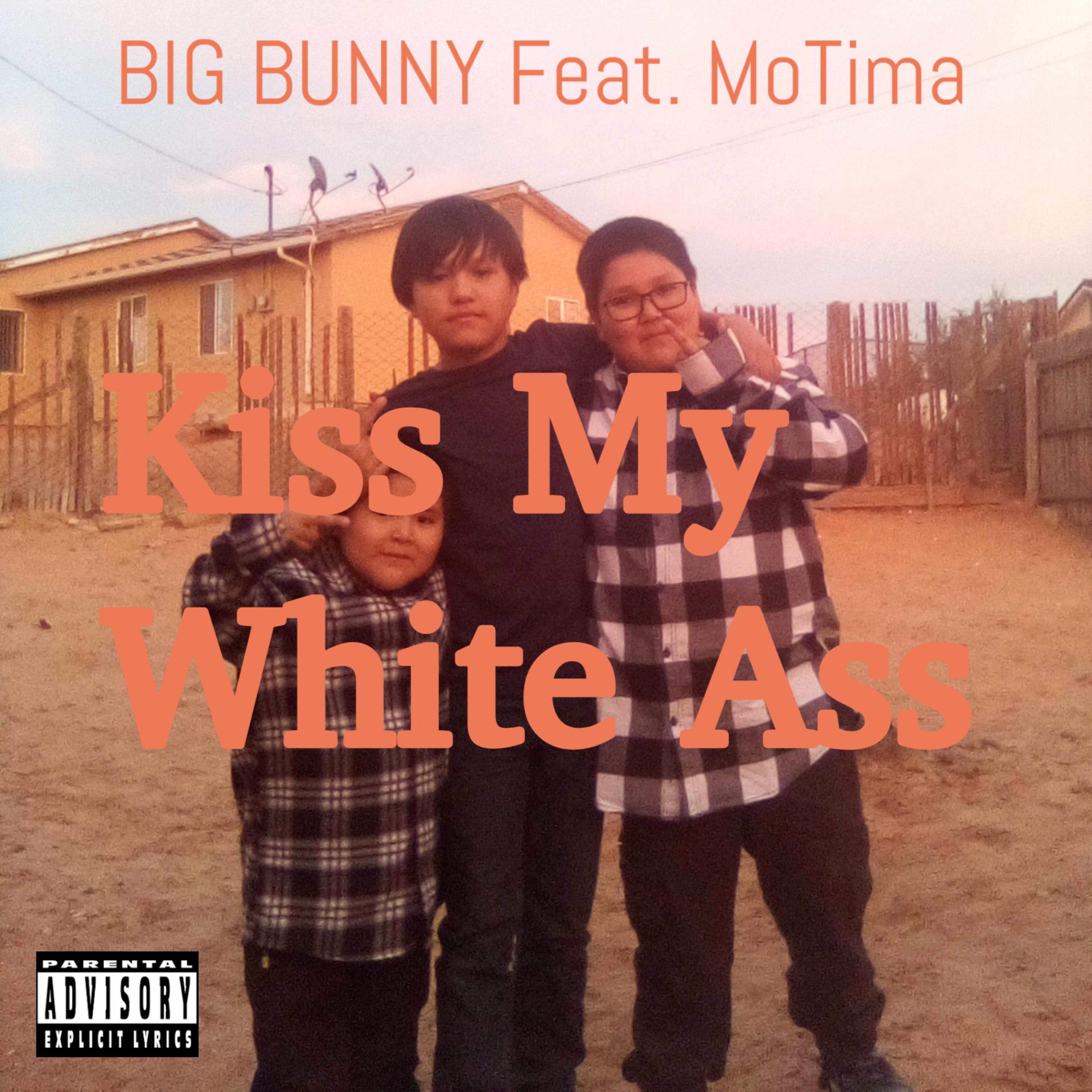 Kiss My White Ass artwork