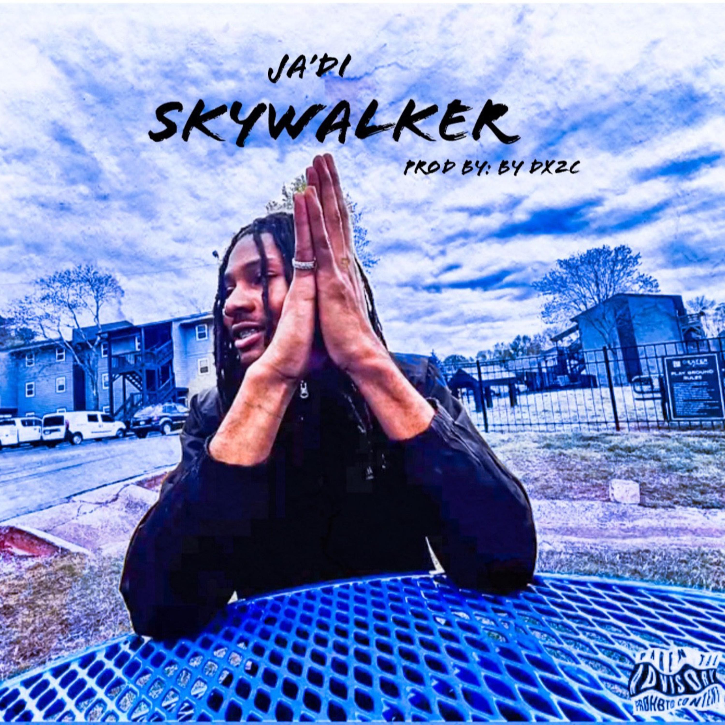 Skywalker artwork