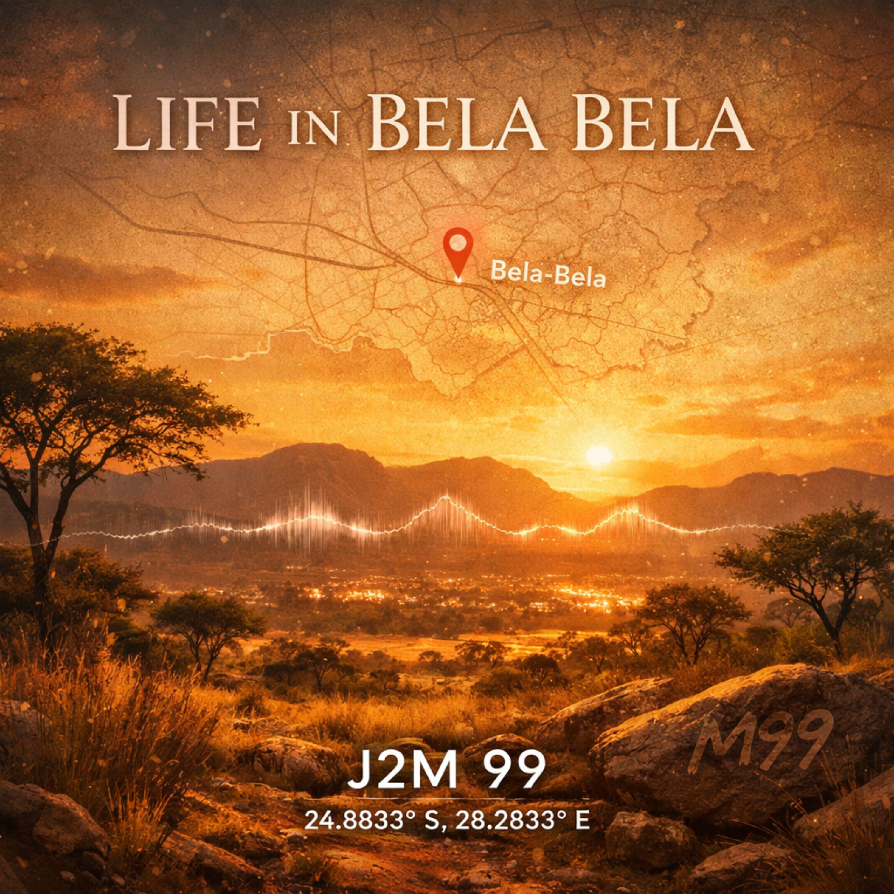 LIFE IN BELA BELA artwork