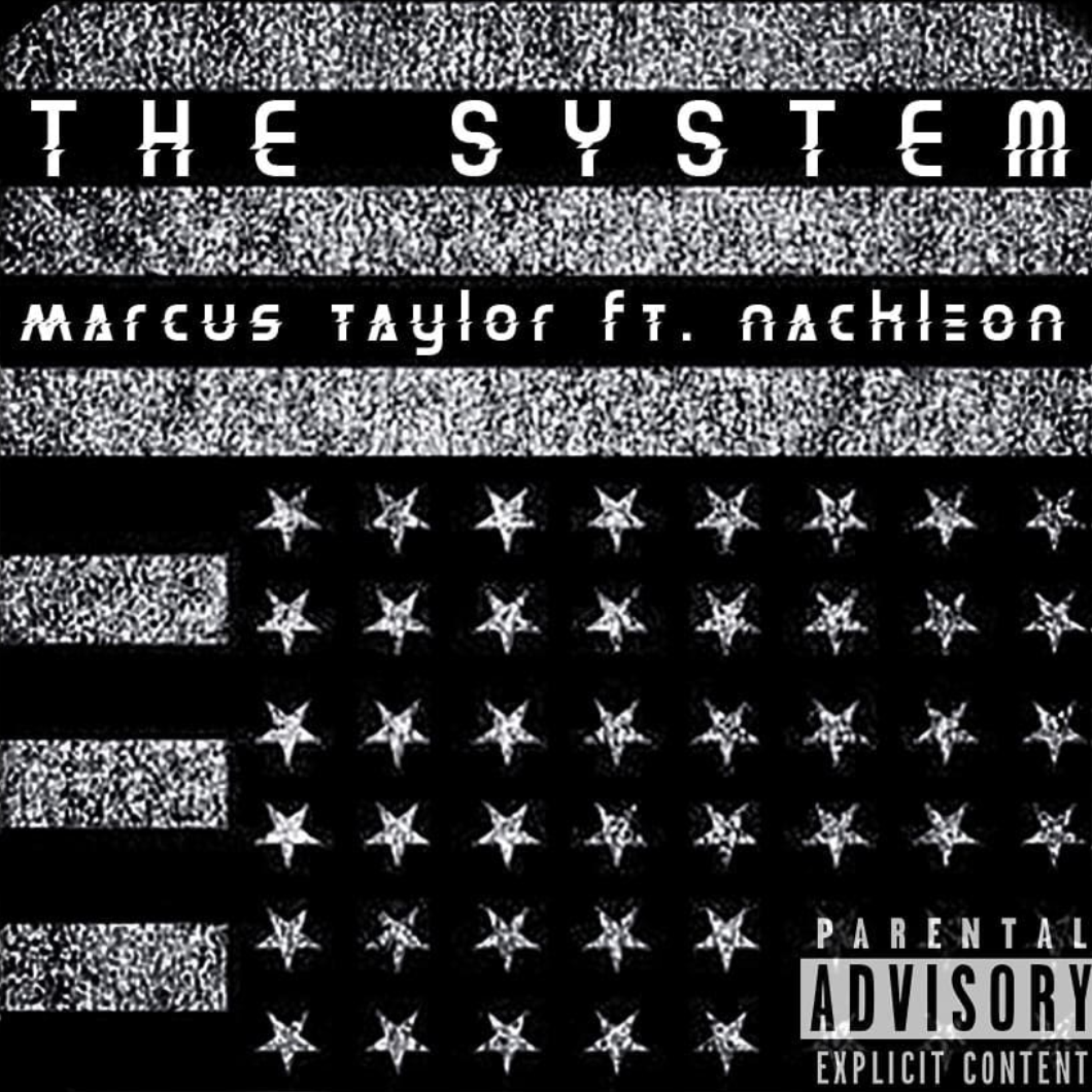The System artwork