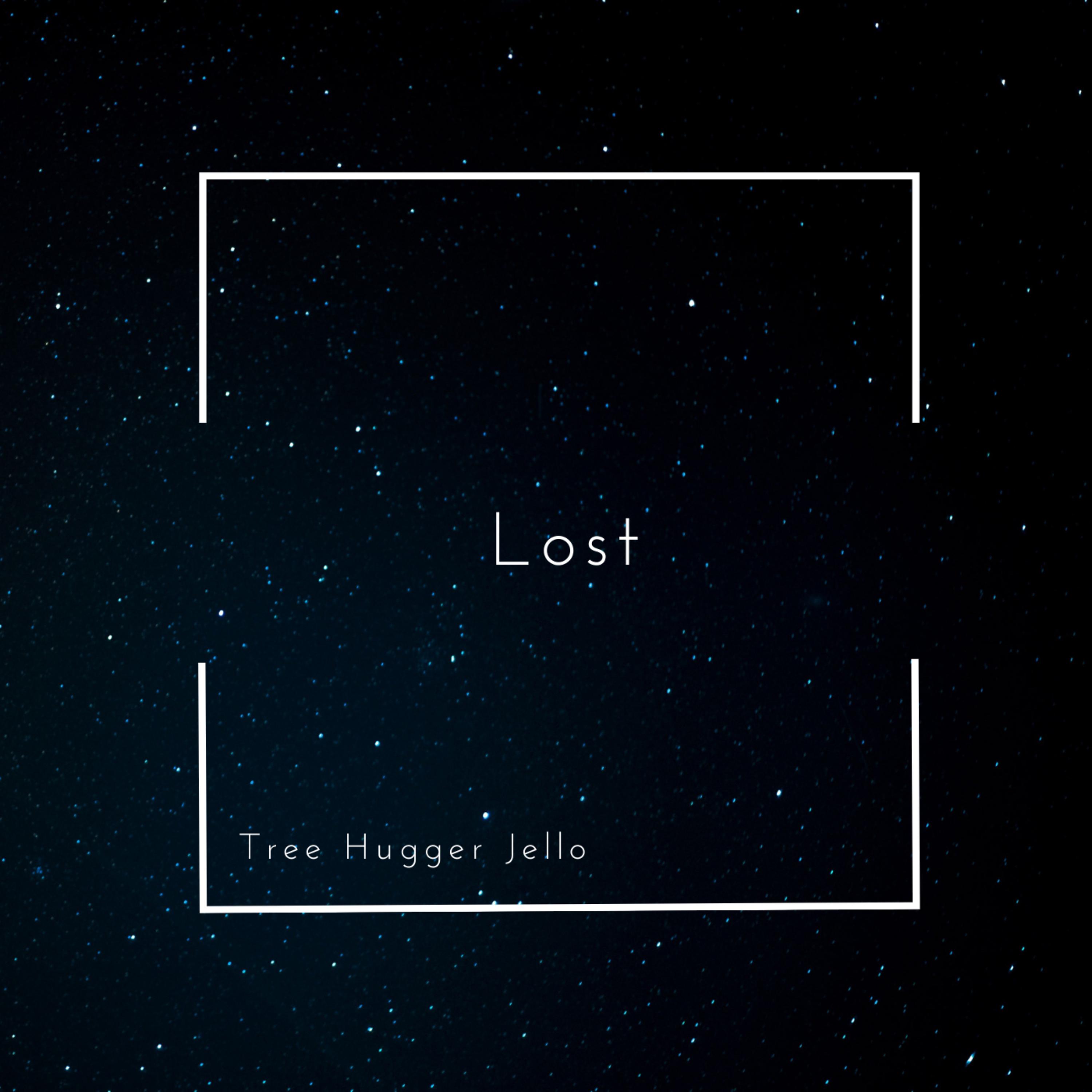 Lost (Cries For Self Concious Help) artwork