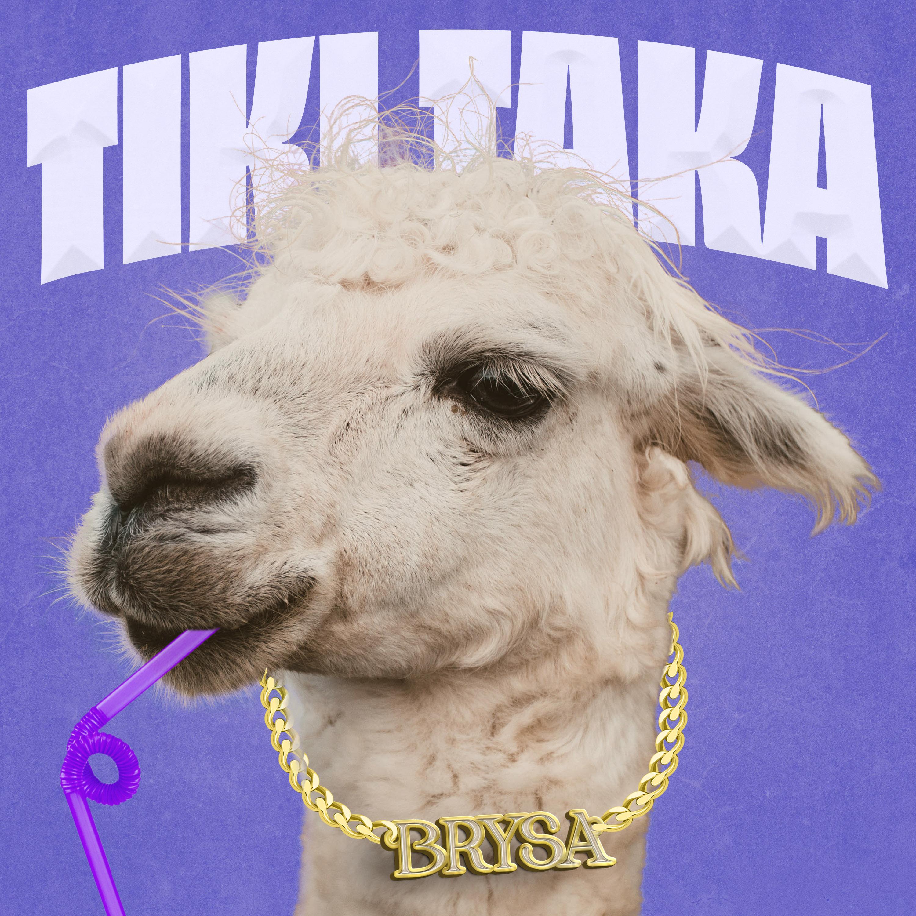 TIKI TAKA artwork