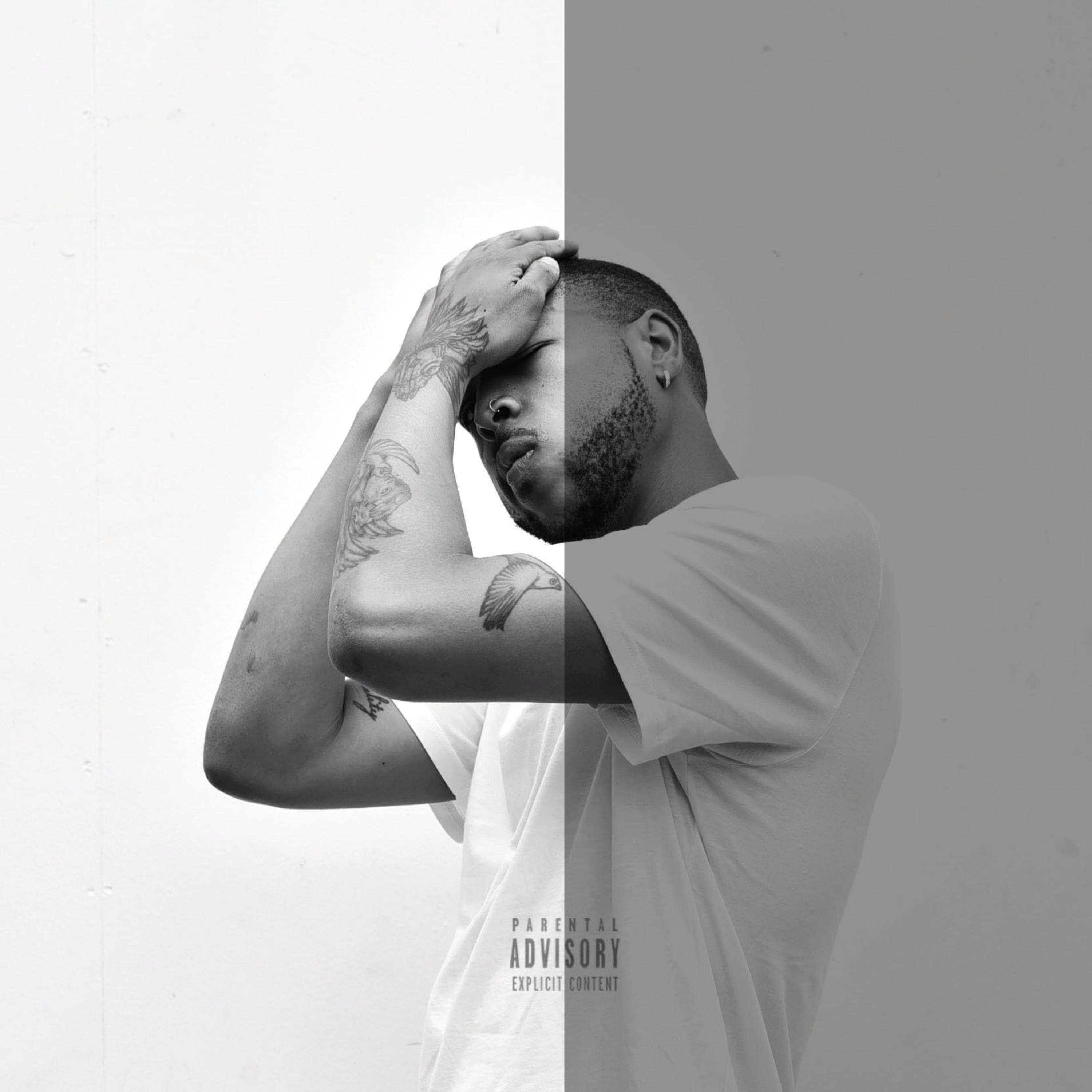 B I P O L A R artwork
