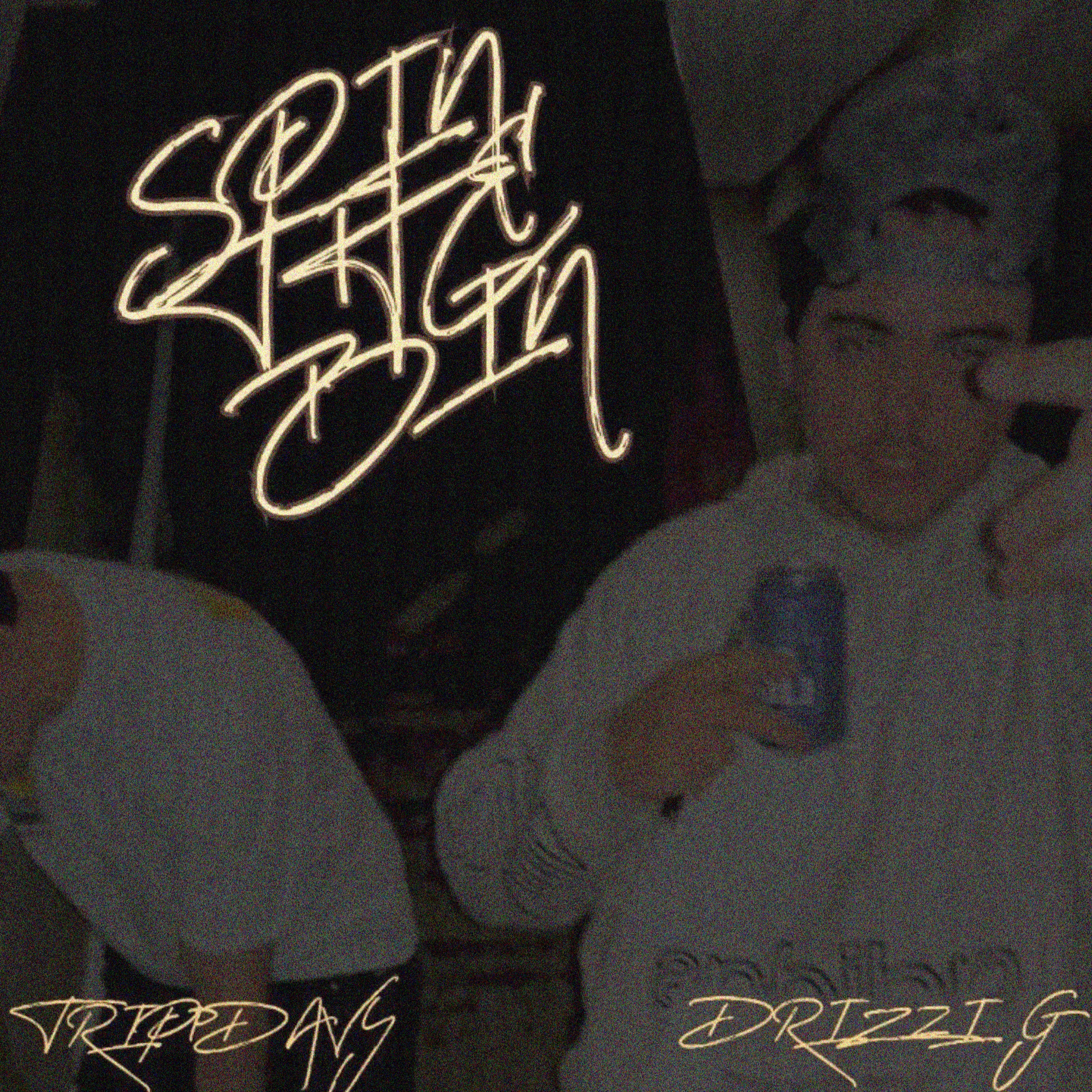 SPIN THE BIN by Drizzi G cover art