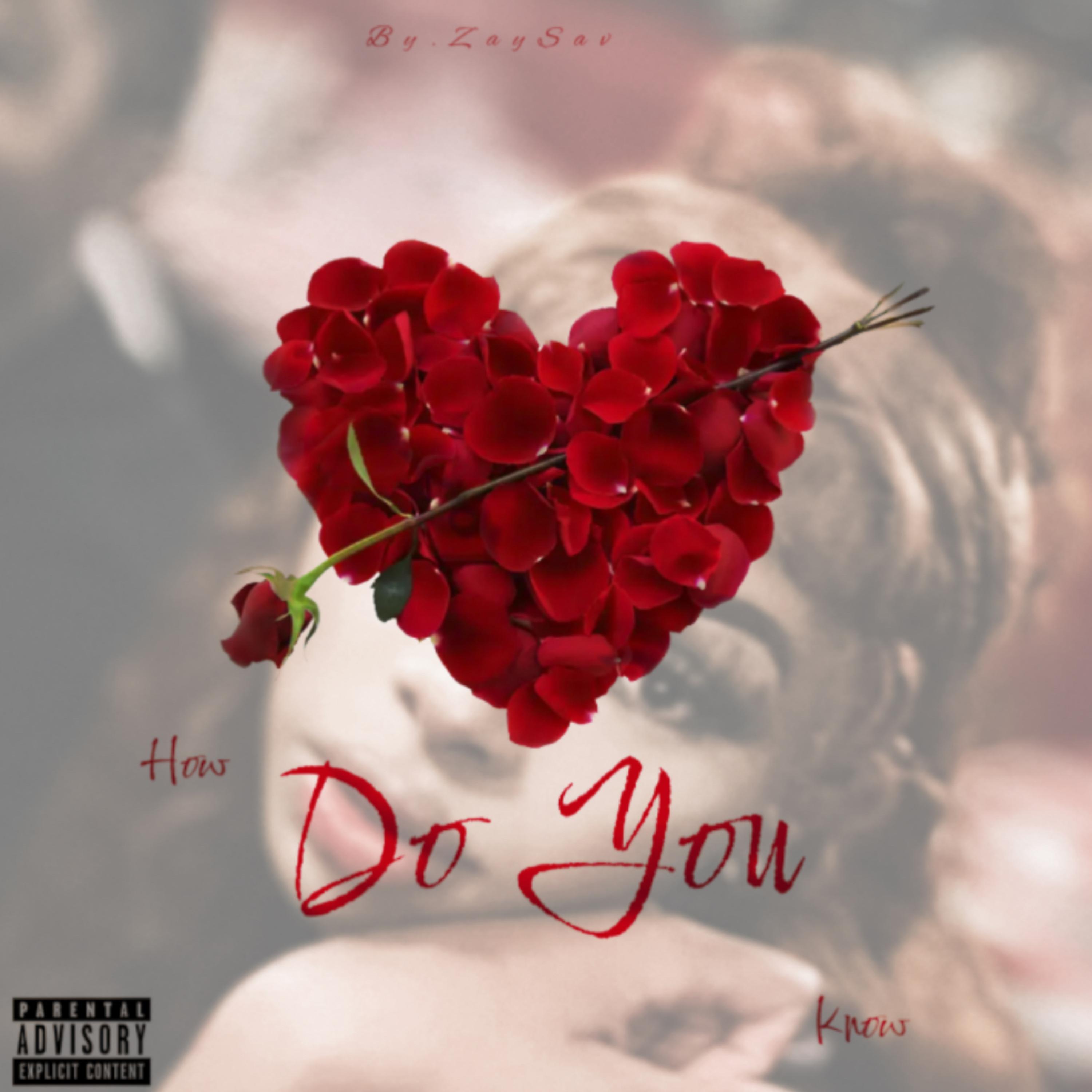 How Do You Know by ZaySav cover art