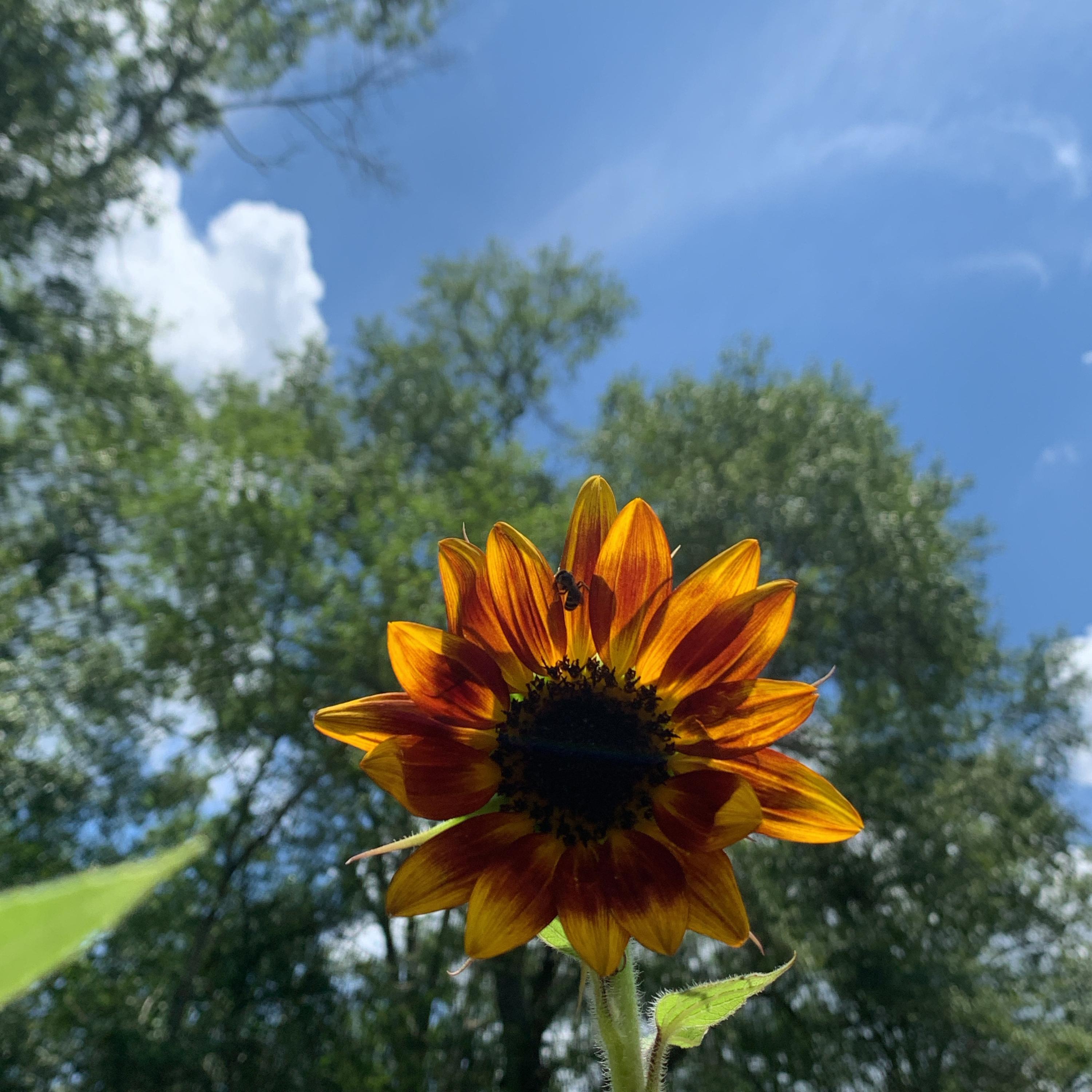 Georgia Watersz artwork