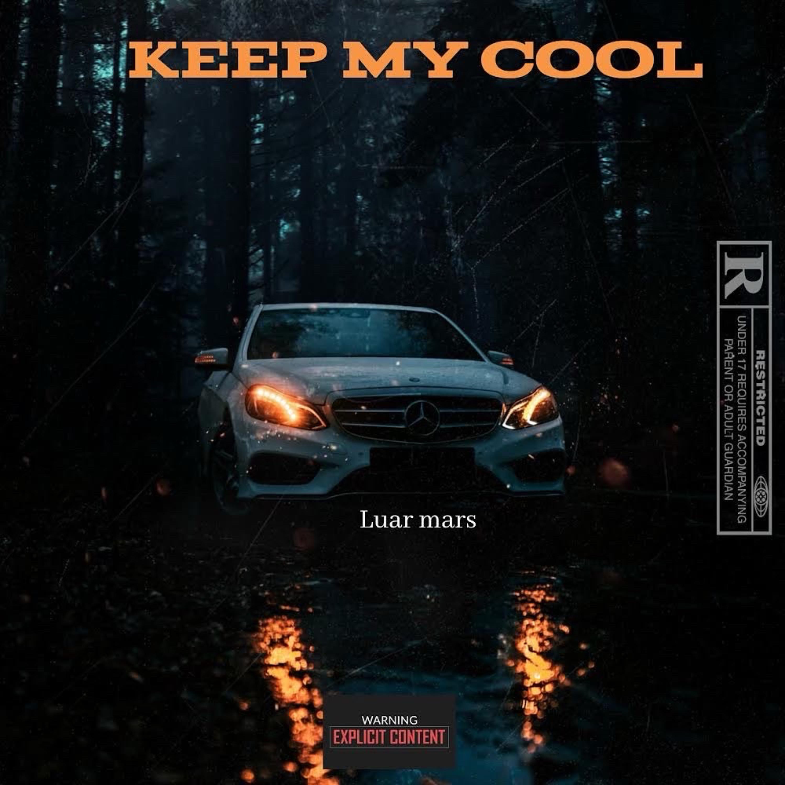 Keep My Cool artwork