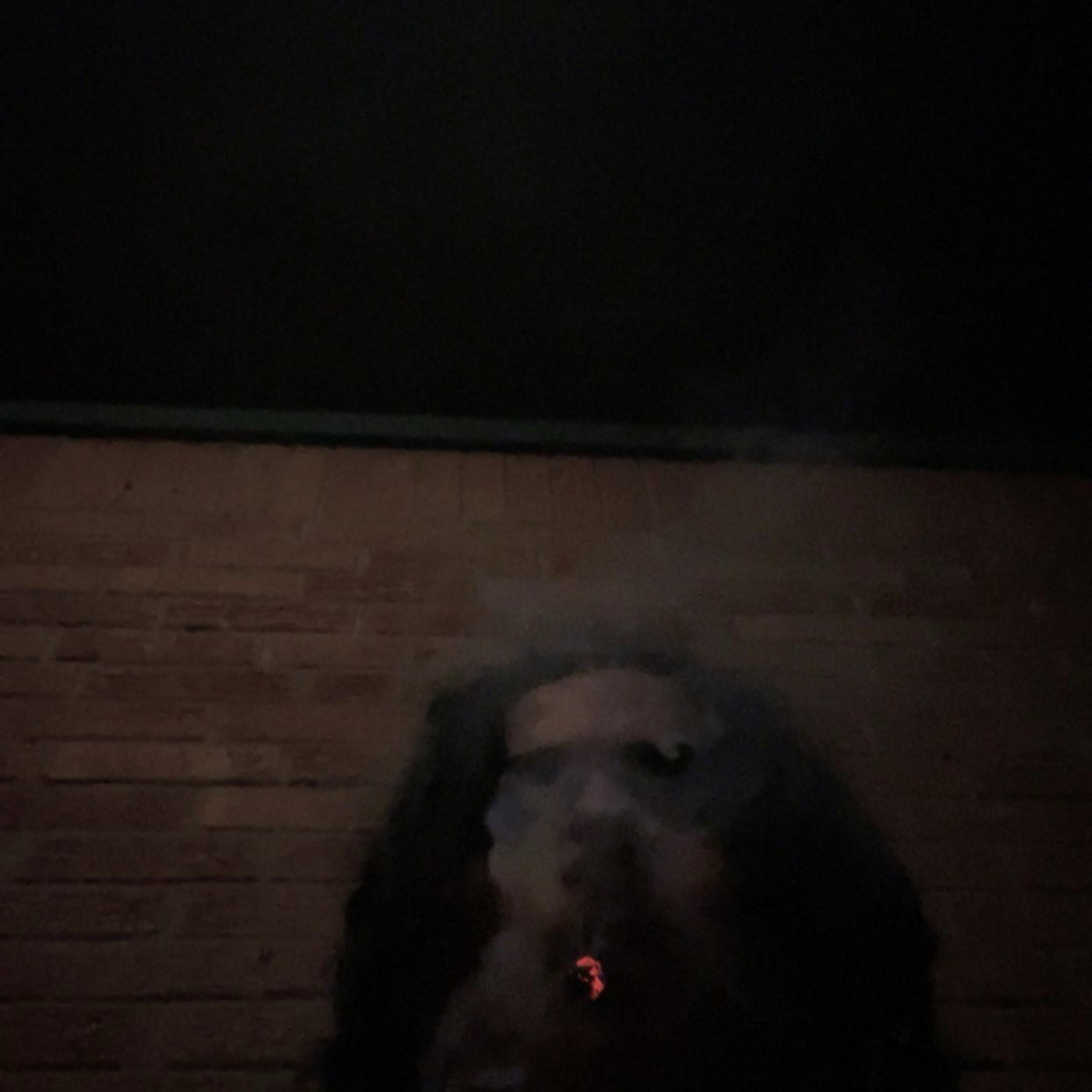 gotta show me by luhhteezy cover art