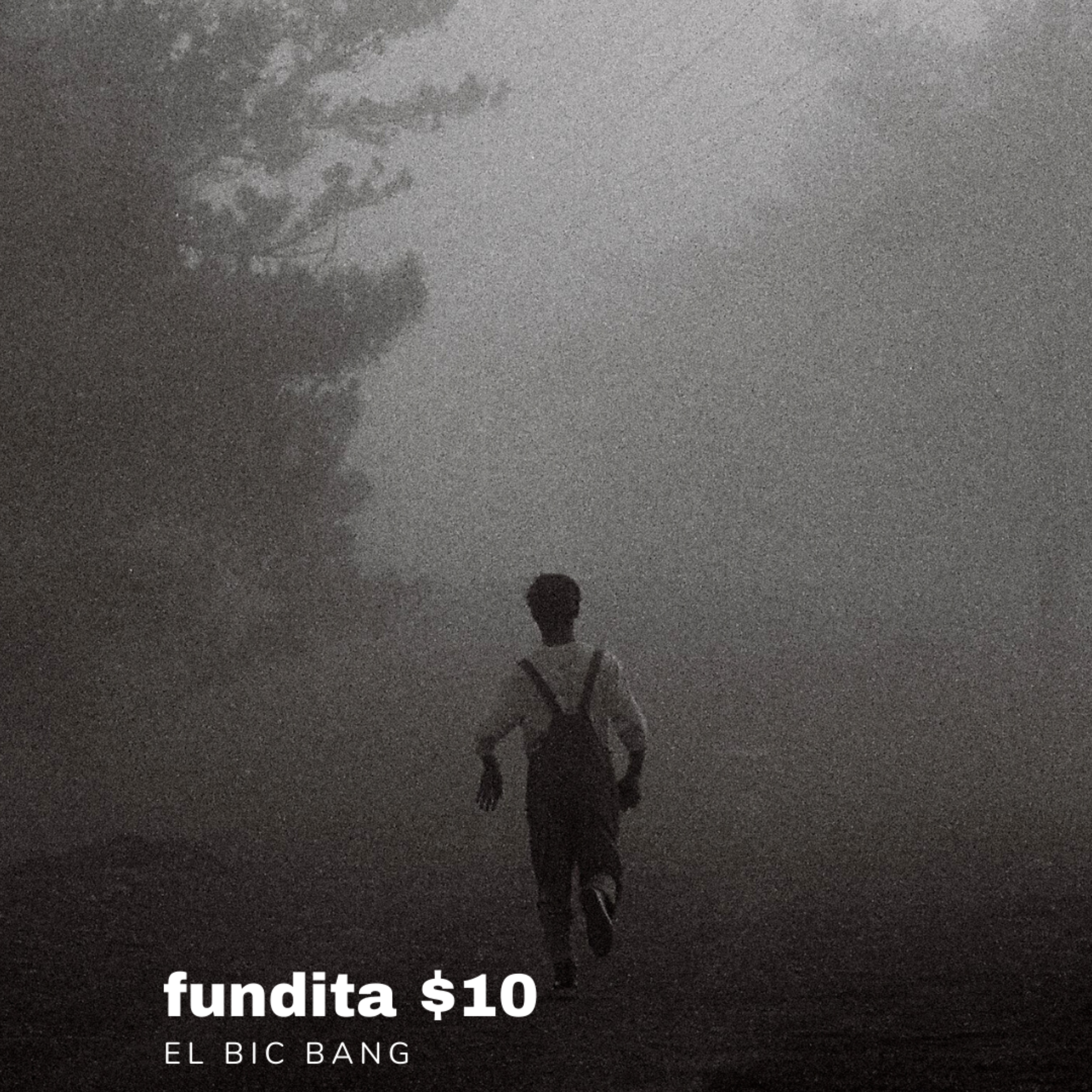 Fundita $10 artwork