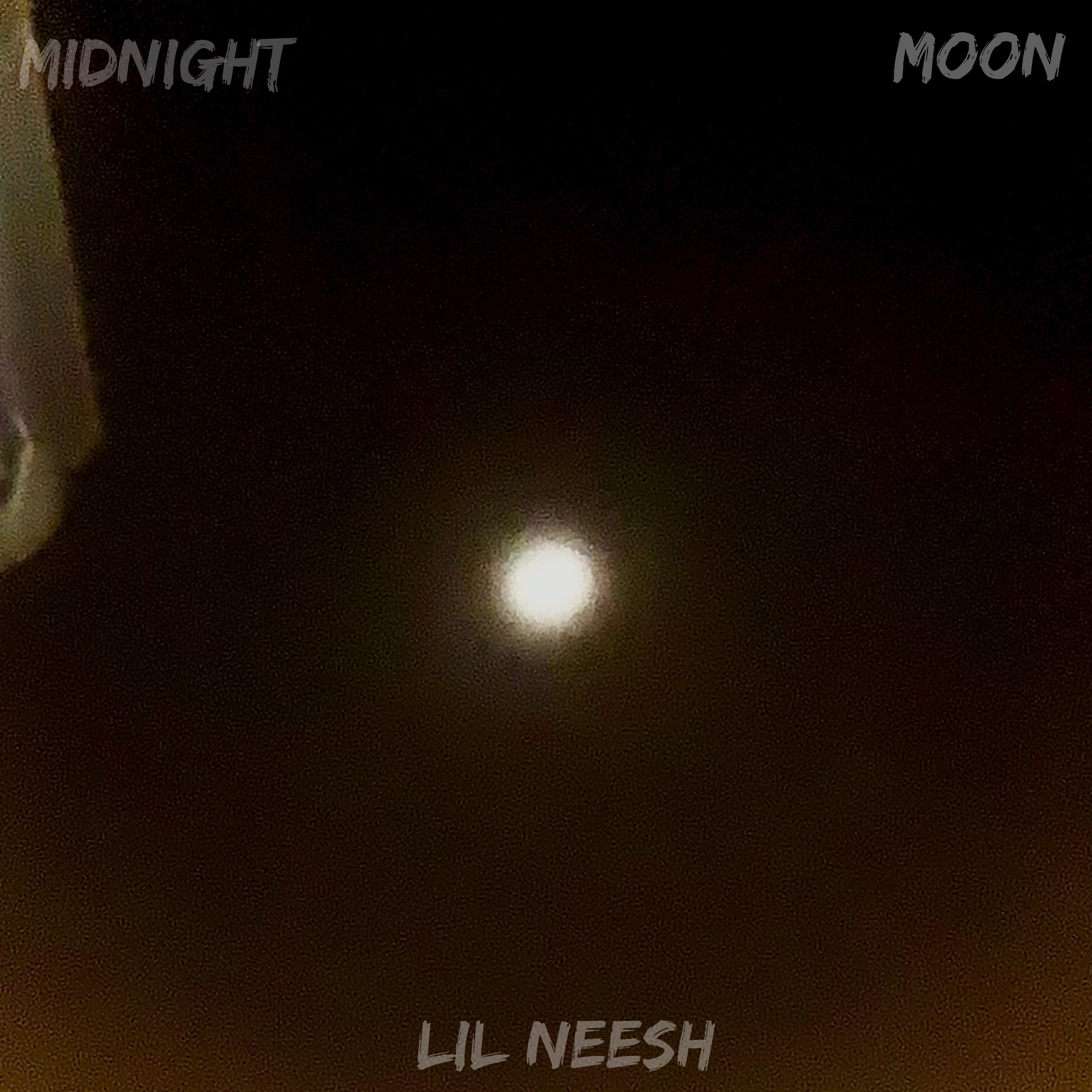 Midnight Moon artwork