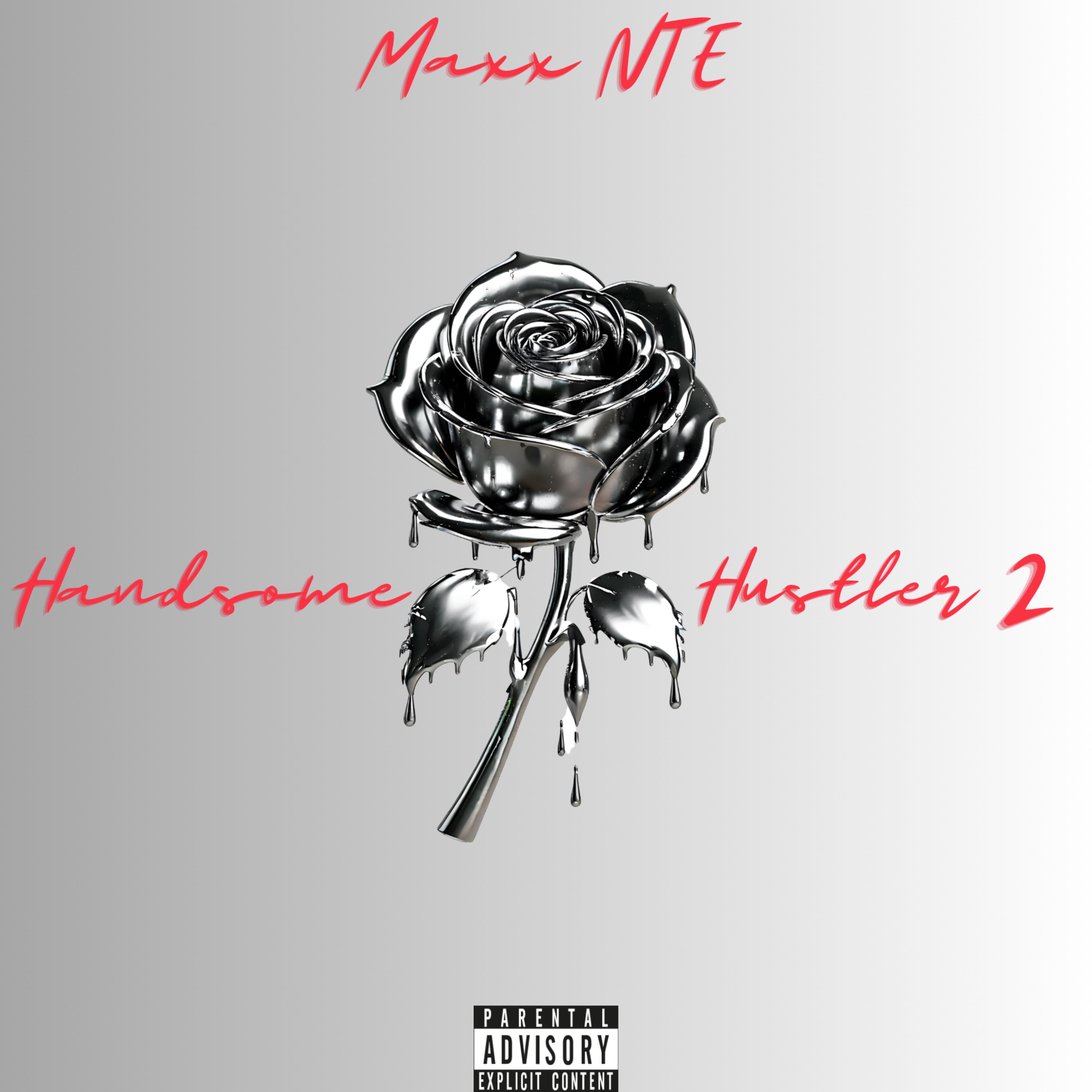 Handsome Hustler 2 artwork
