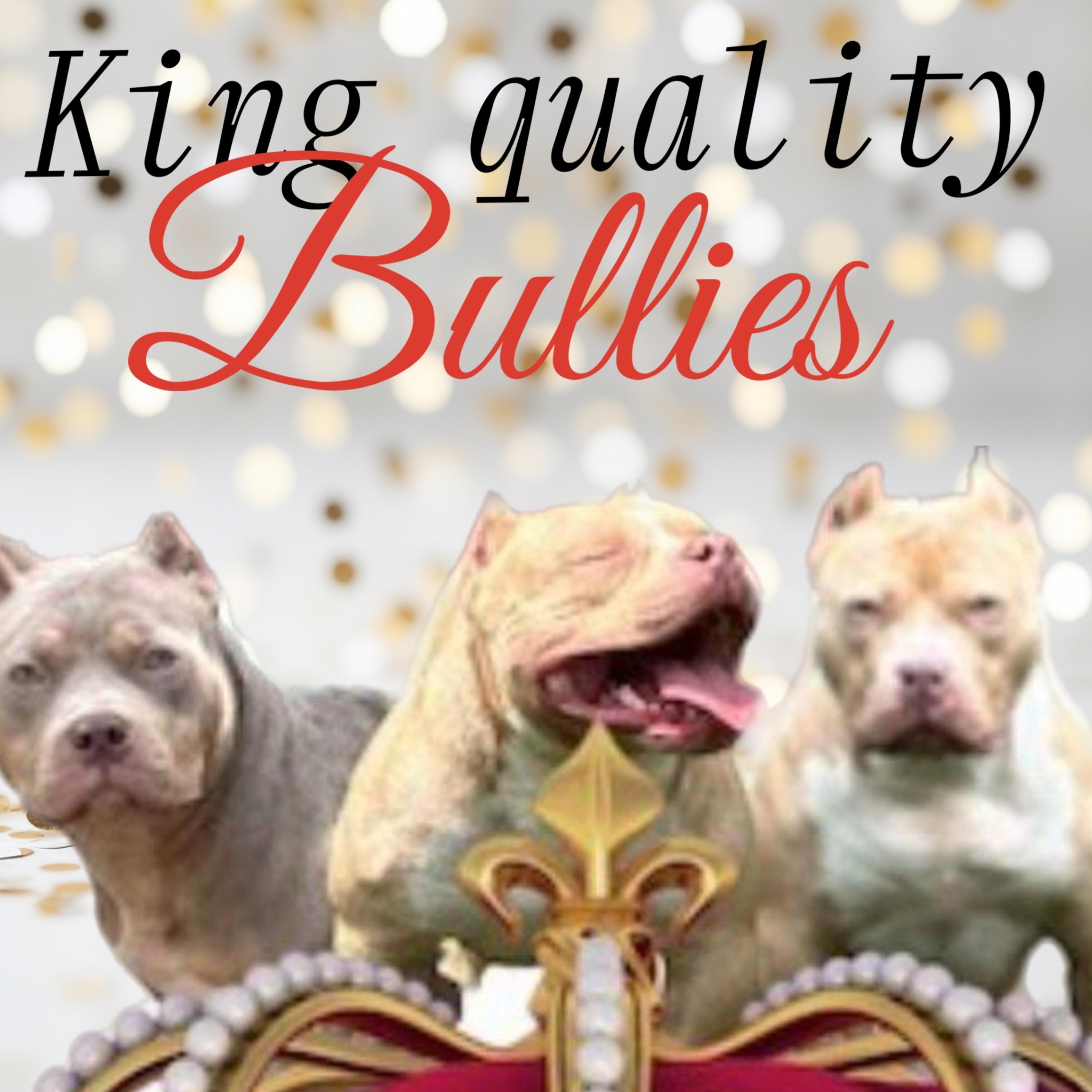 King Quality Bullies artwork