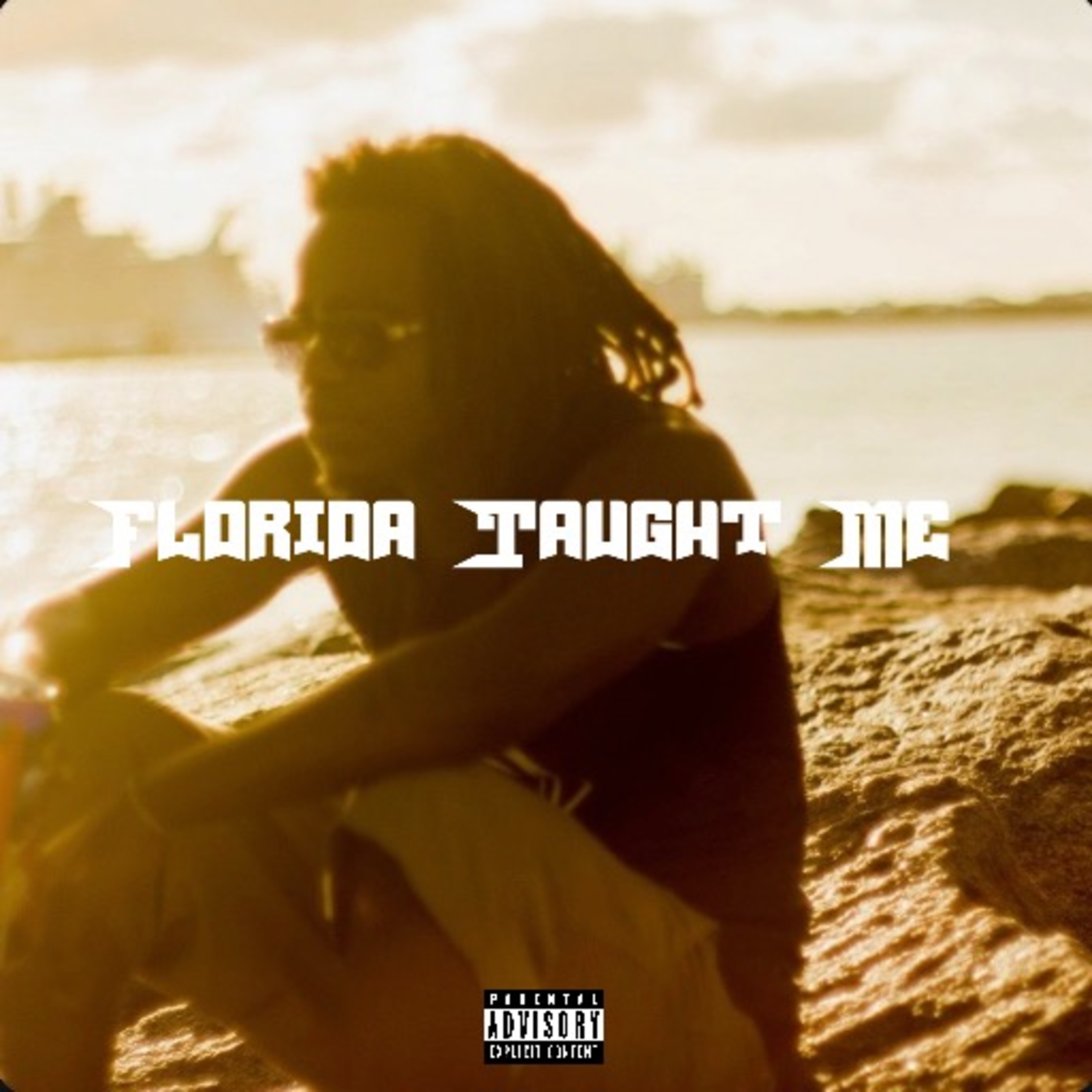 Florida Taught Me by Blayzeus cover art