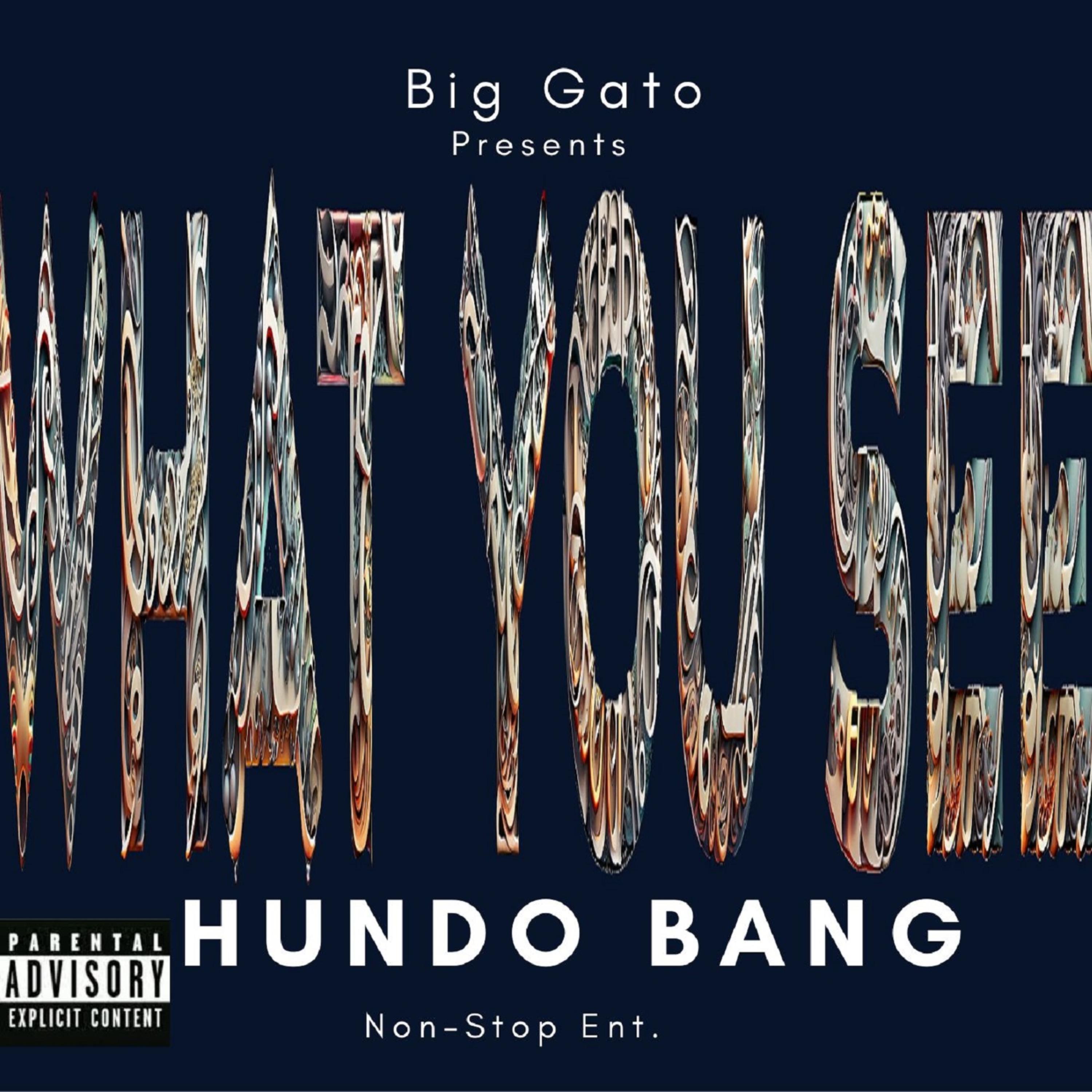 What You See by Big Gato cover art