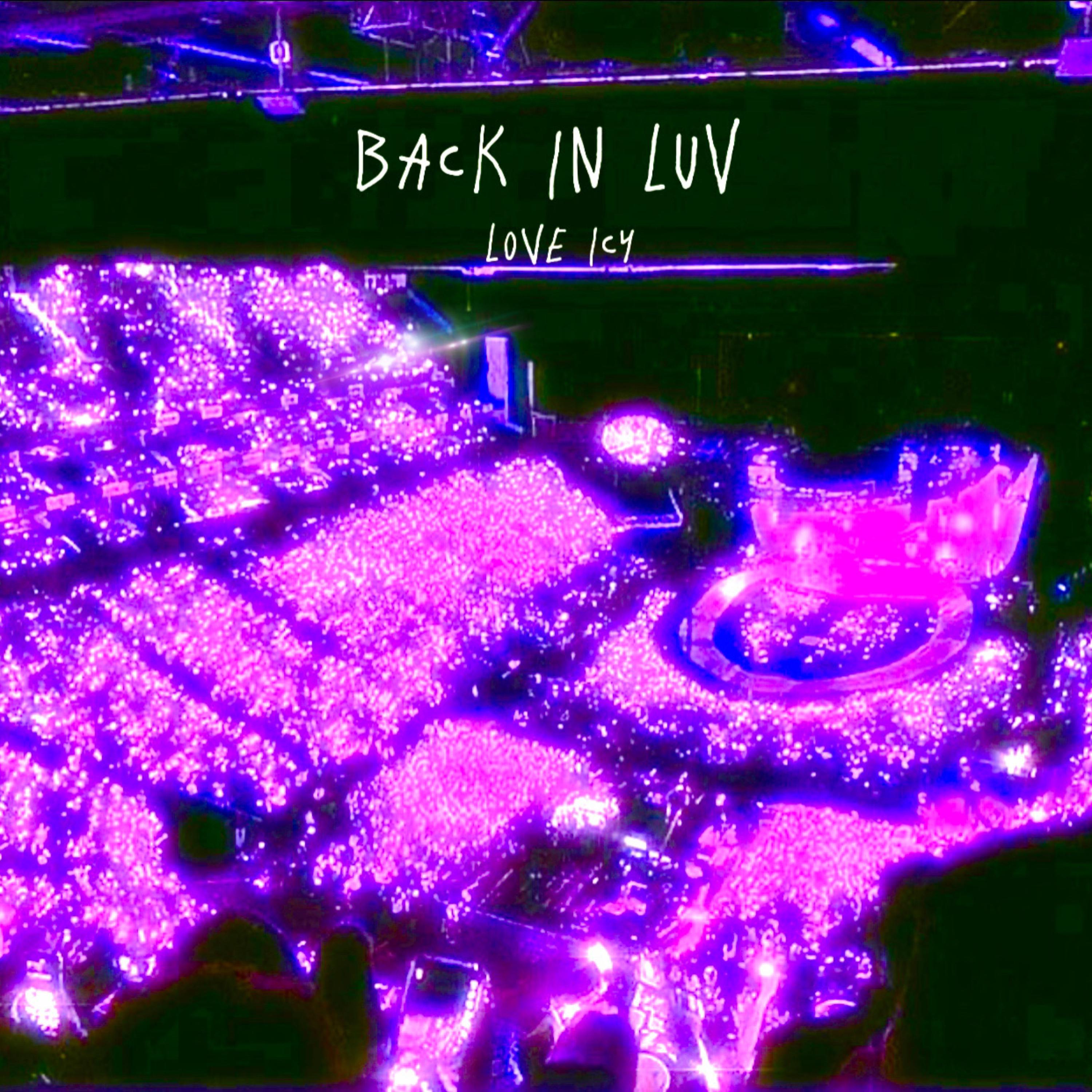 Back In Luv artwork