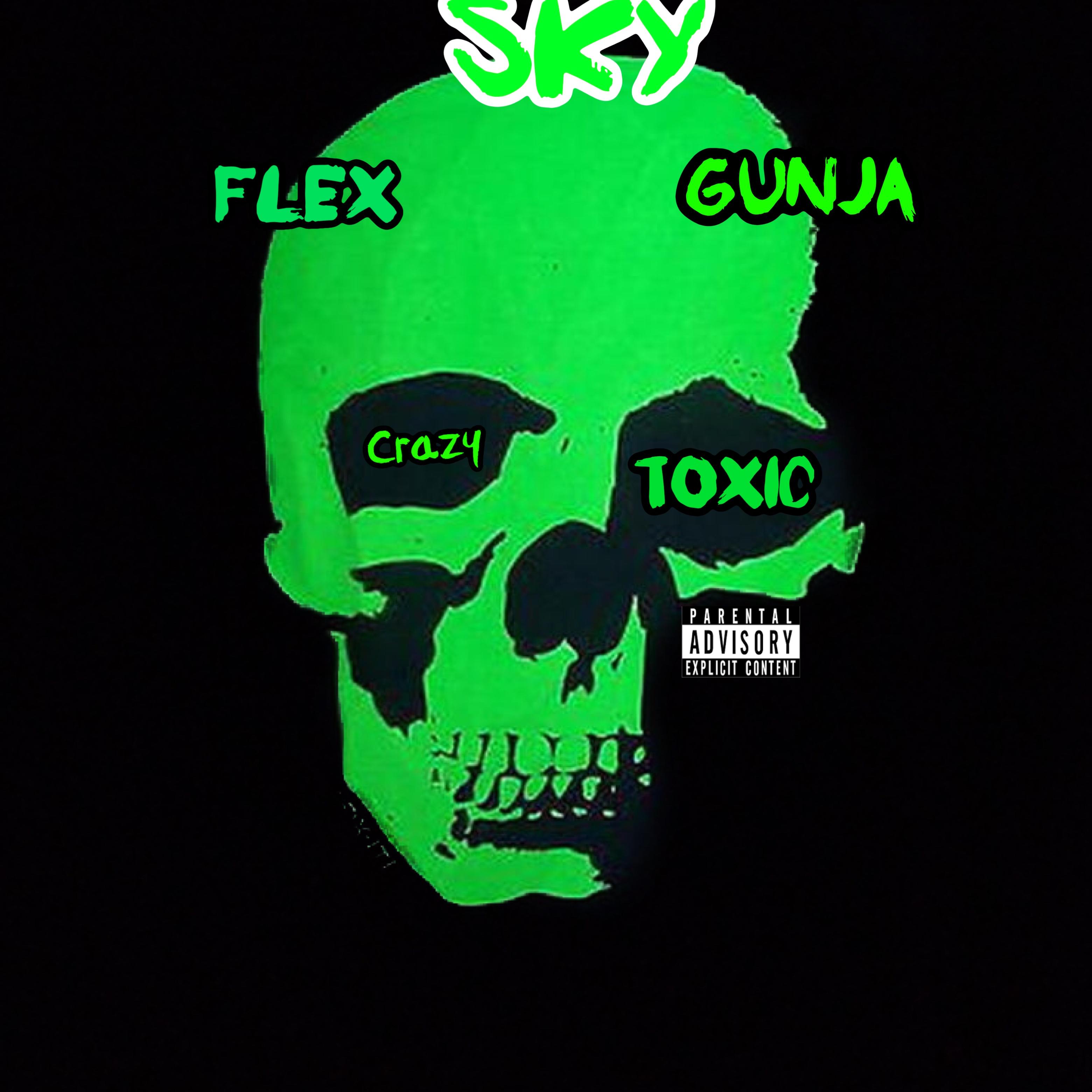 Crazy Toxic artwork