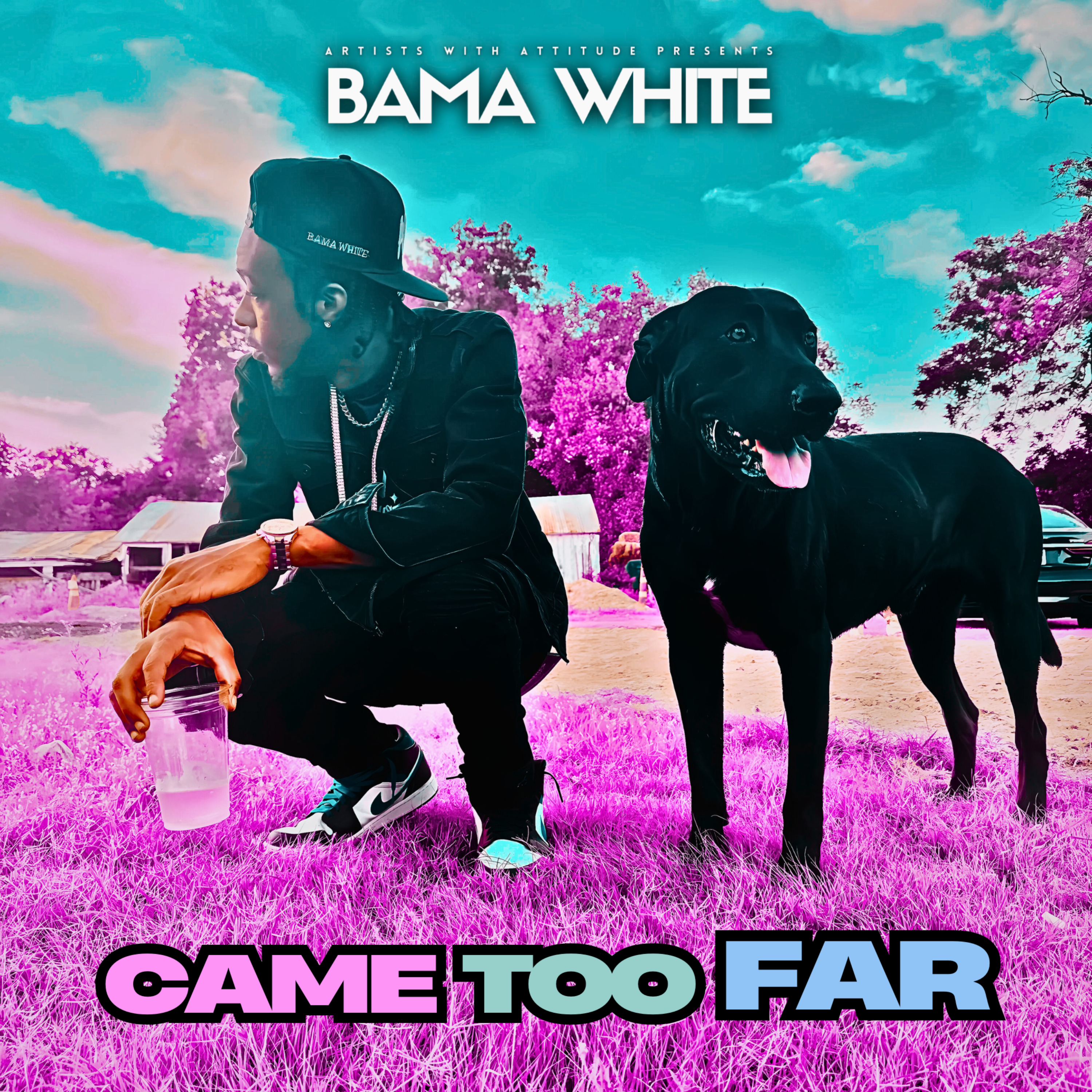 Came Too Far artwork