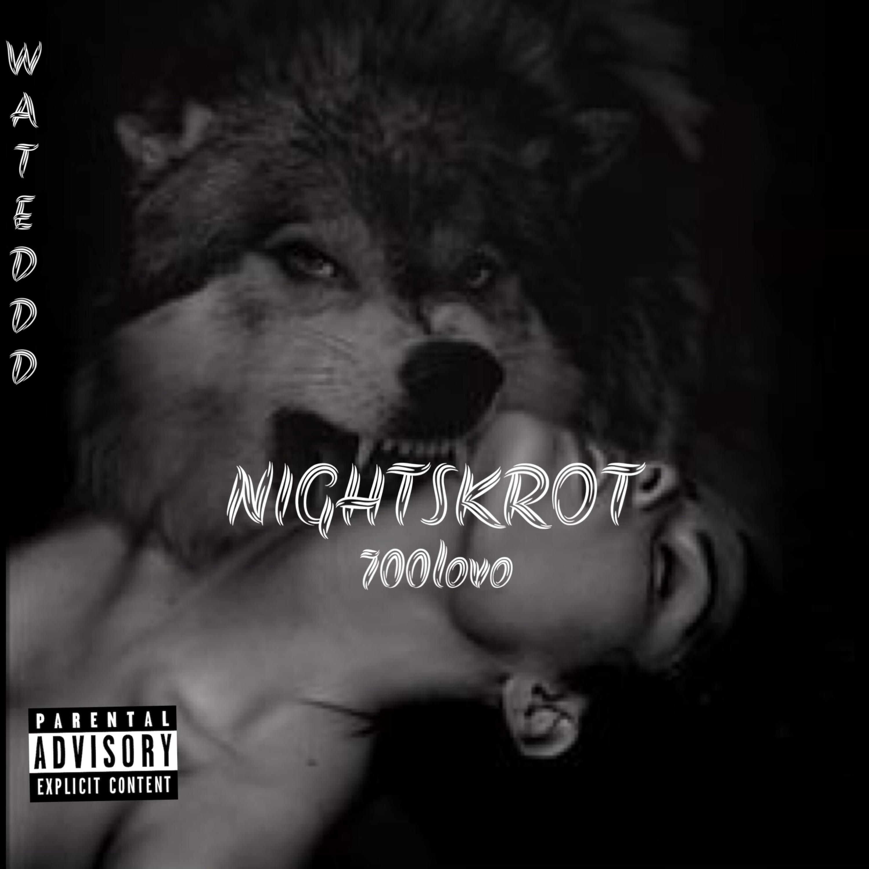 NIGHTSKROT artwork