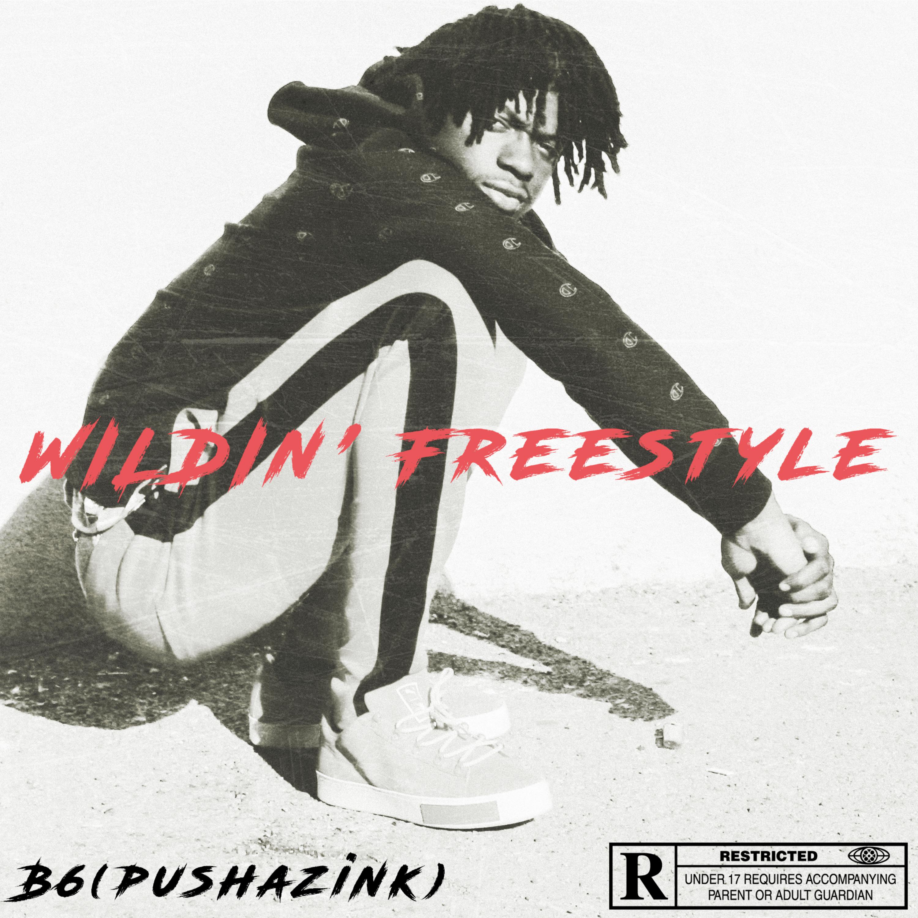 Wildin Freestyle artwork
