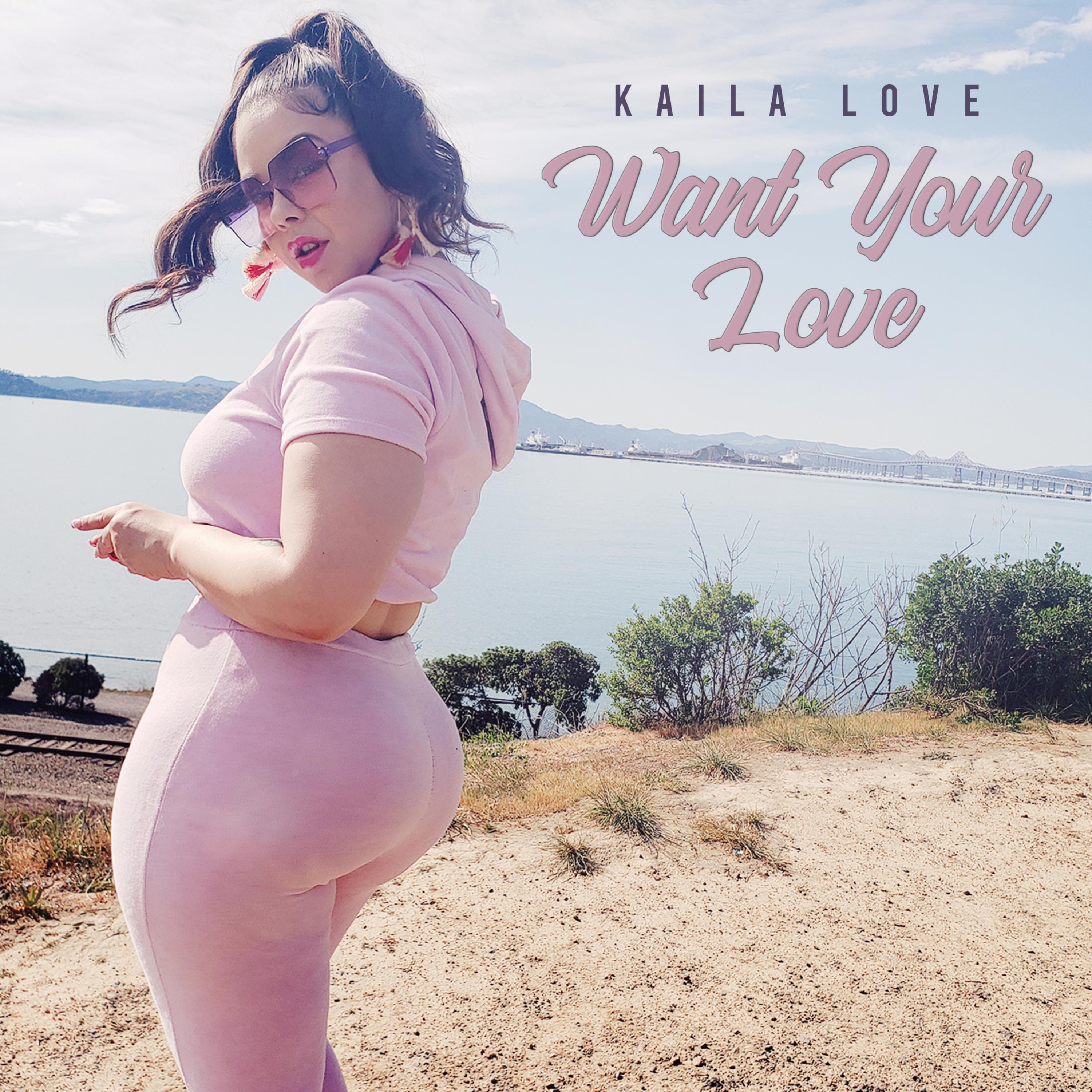 Want Your Love artwork