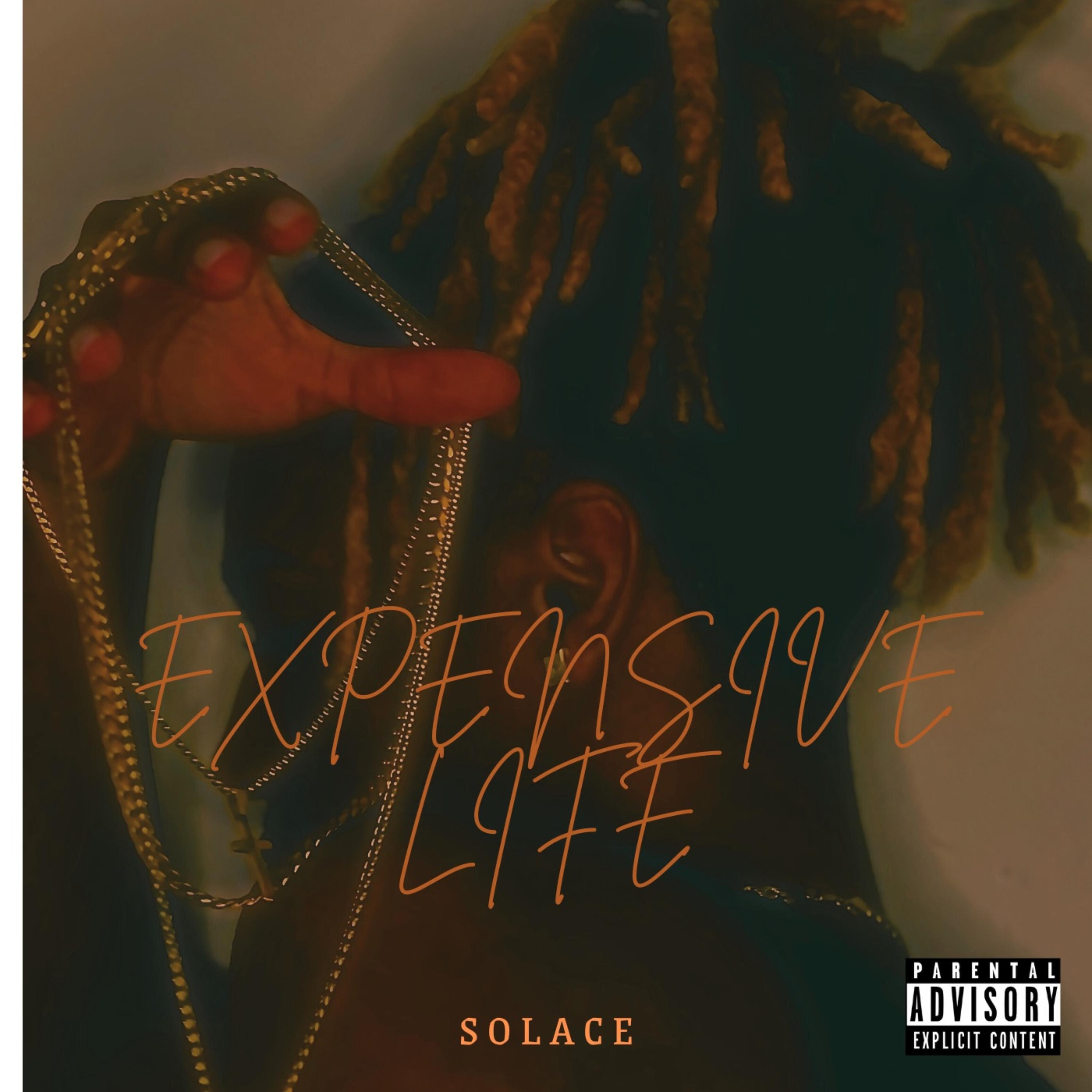 Expensive Life artwork