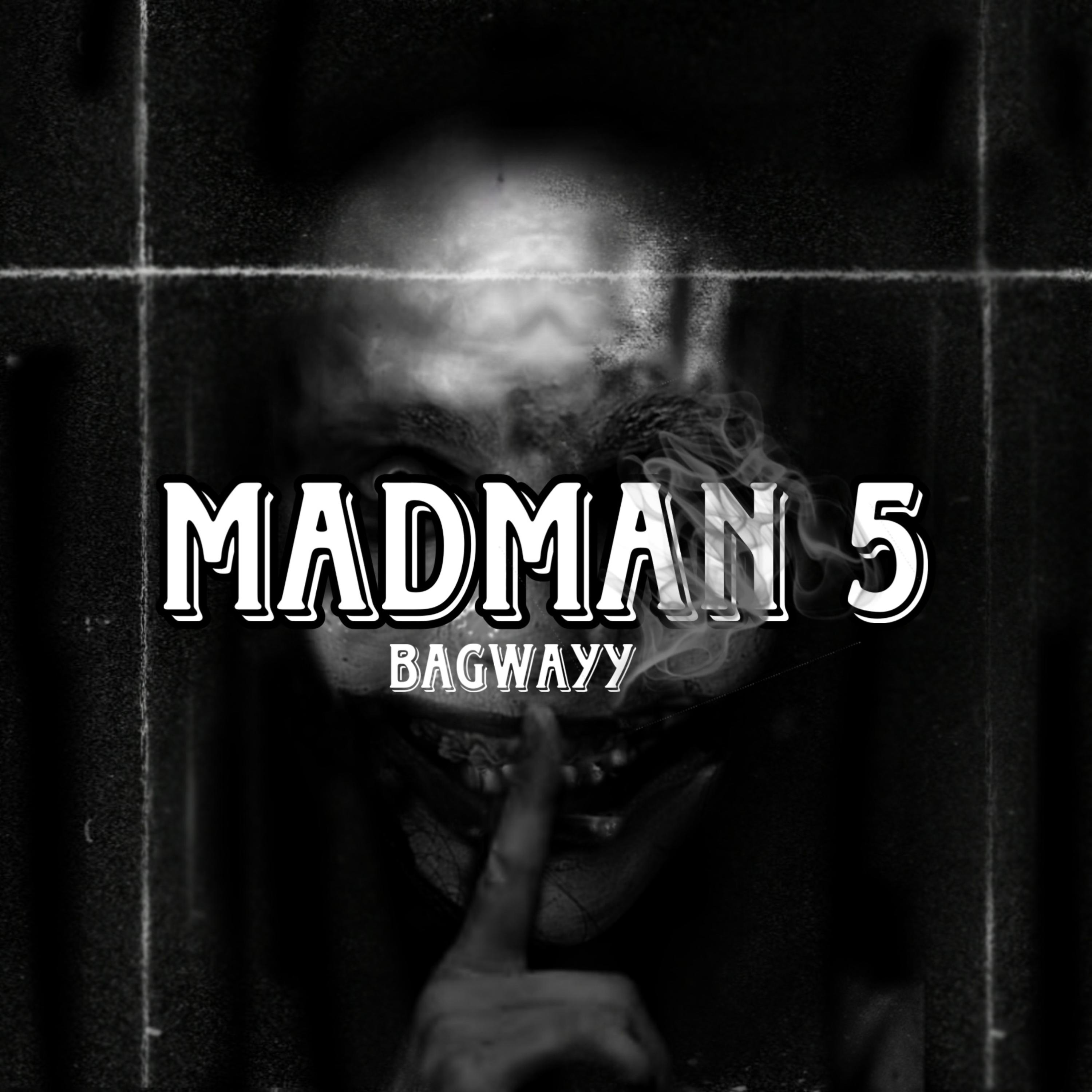 Madman 5 artwork