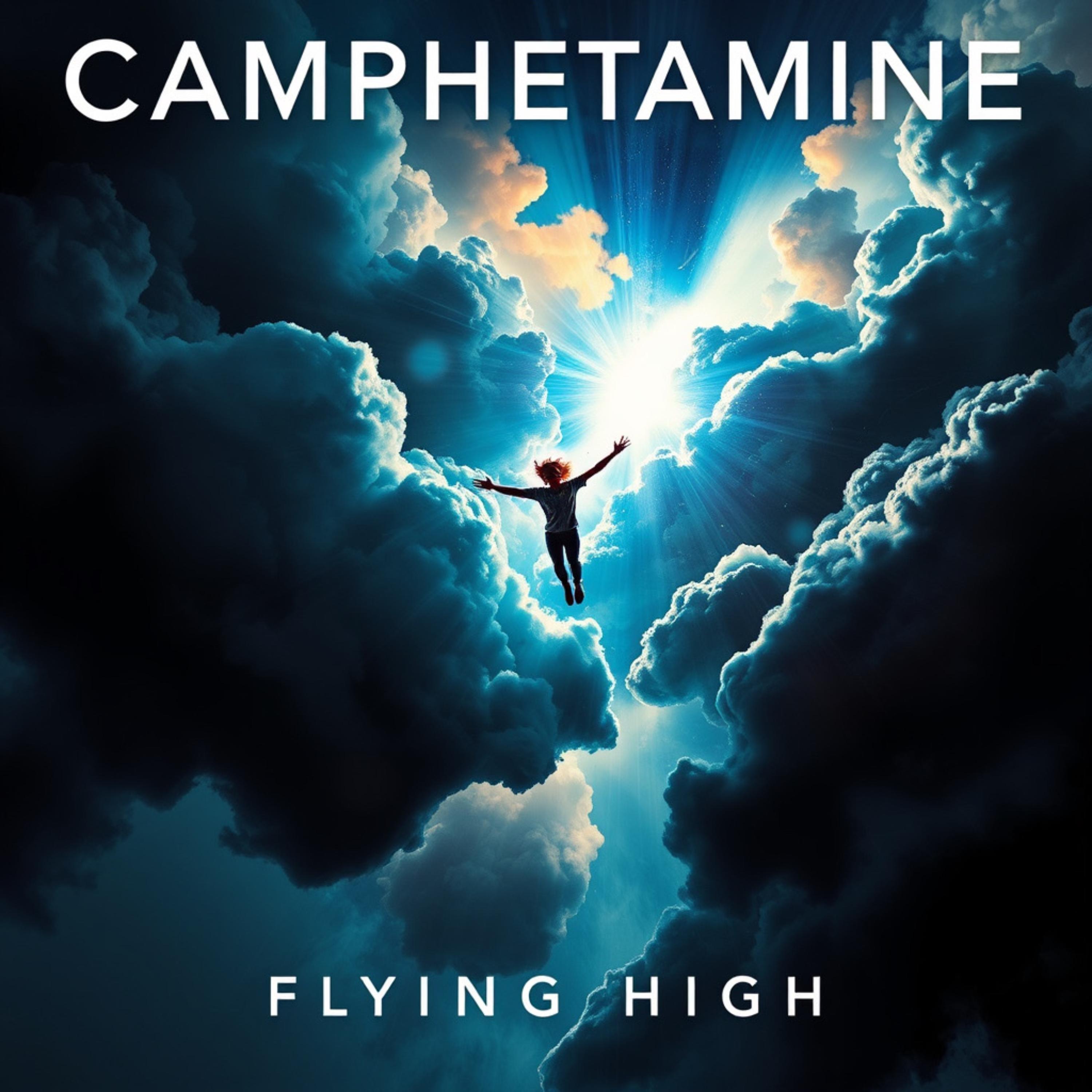 Flying High artwork
