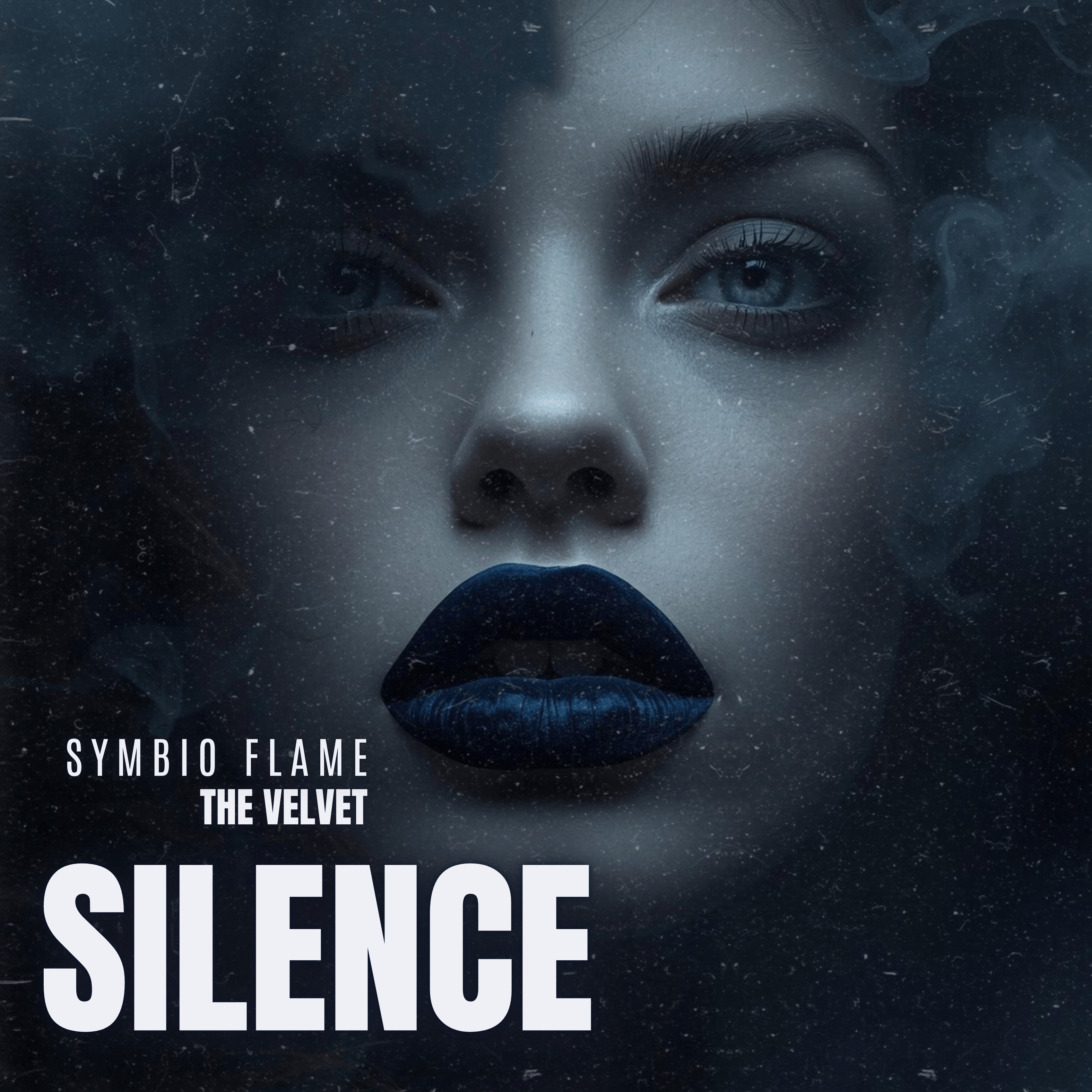 The Velvet Silence artwork